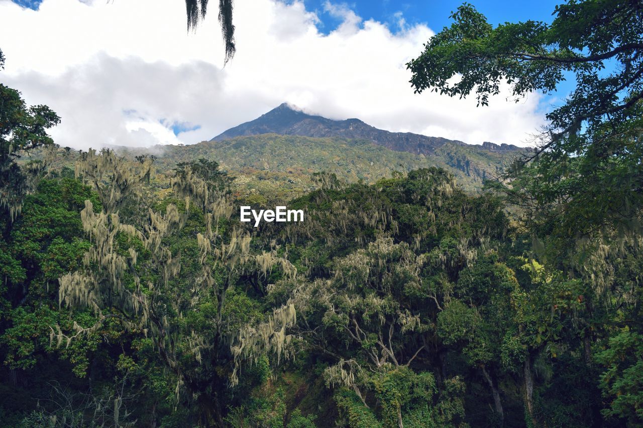 Scenic mountain landscapes against sky, mount meru in arusha national park, tanzania