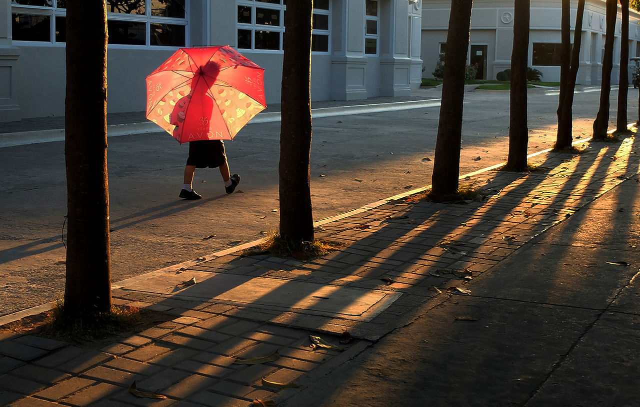 Boy carrying umbrella while walking on street