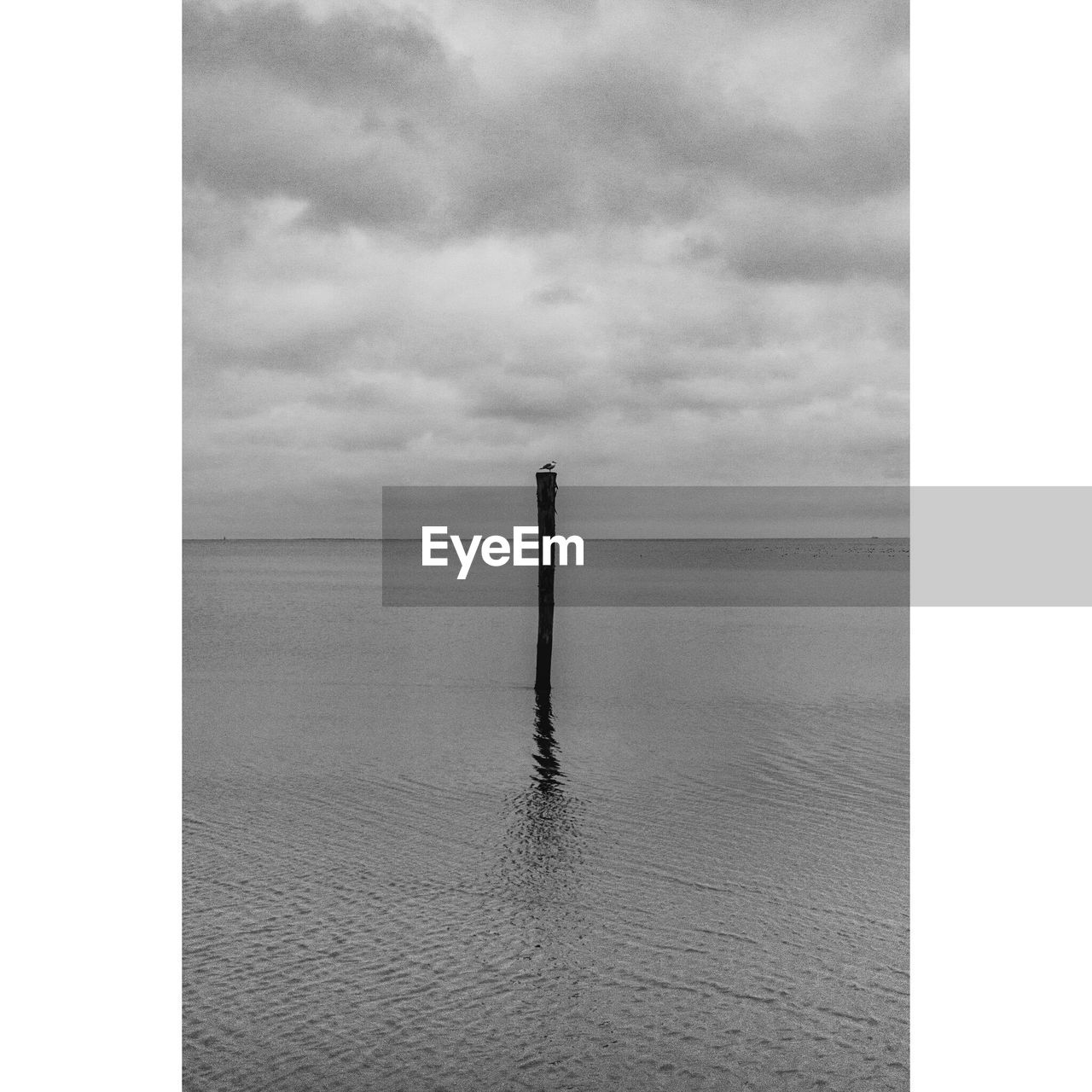 SCENIC VIEW OF SEA