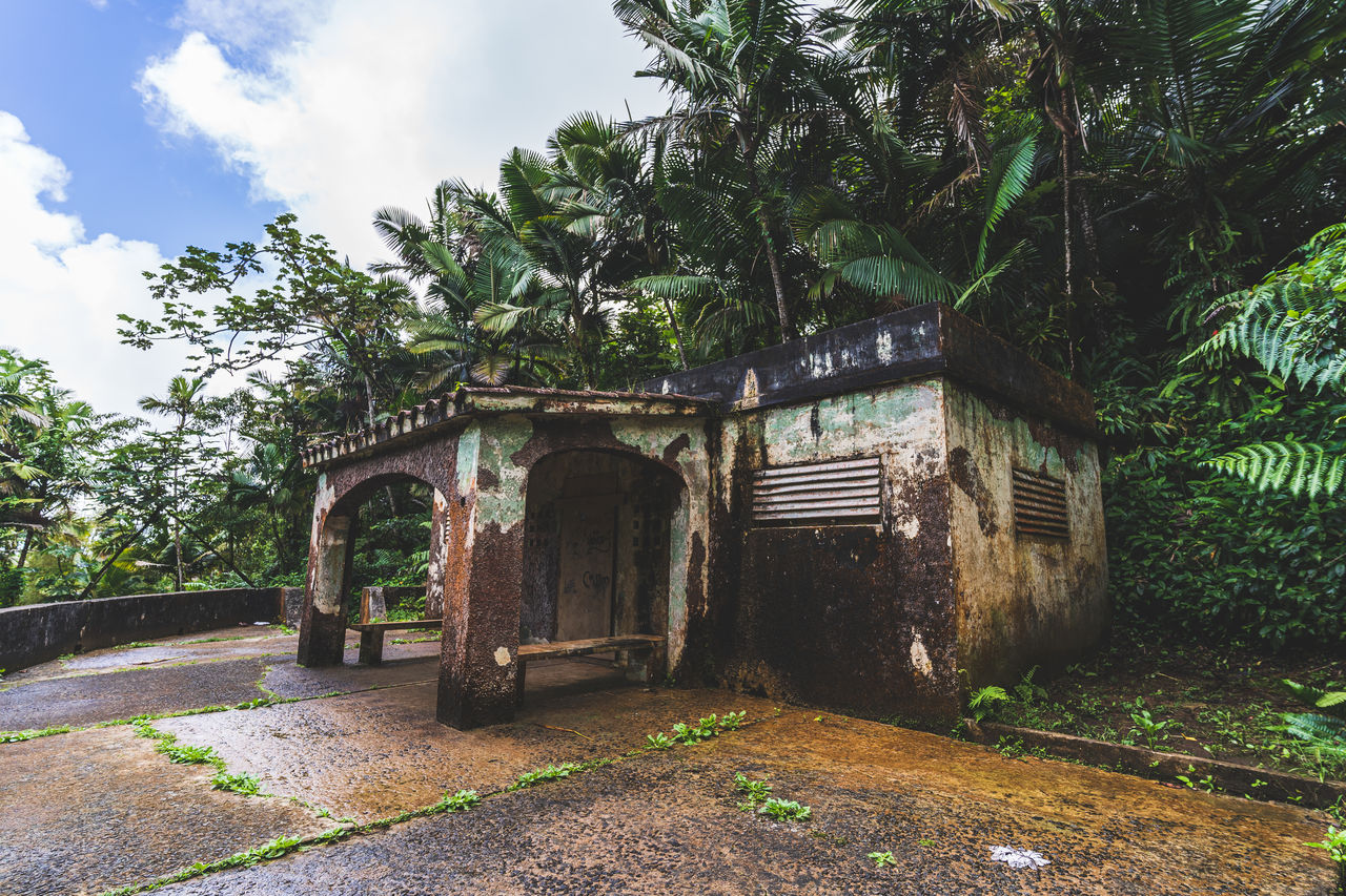 tree, plant, architecture, rural area, built structure, nature, village, no people, estate, building, building exterior, sky, cloud, history, jungle, day, outdoors, the past, house, growth, tropical climate, gate, travel destinations, garden, old, ruins