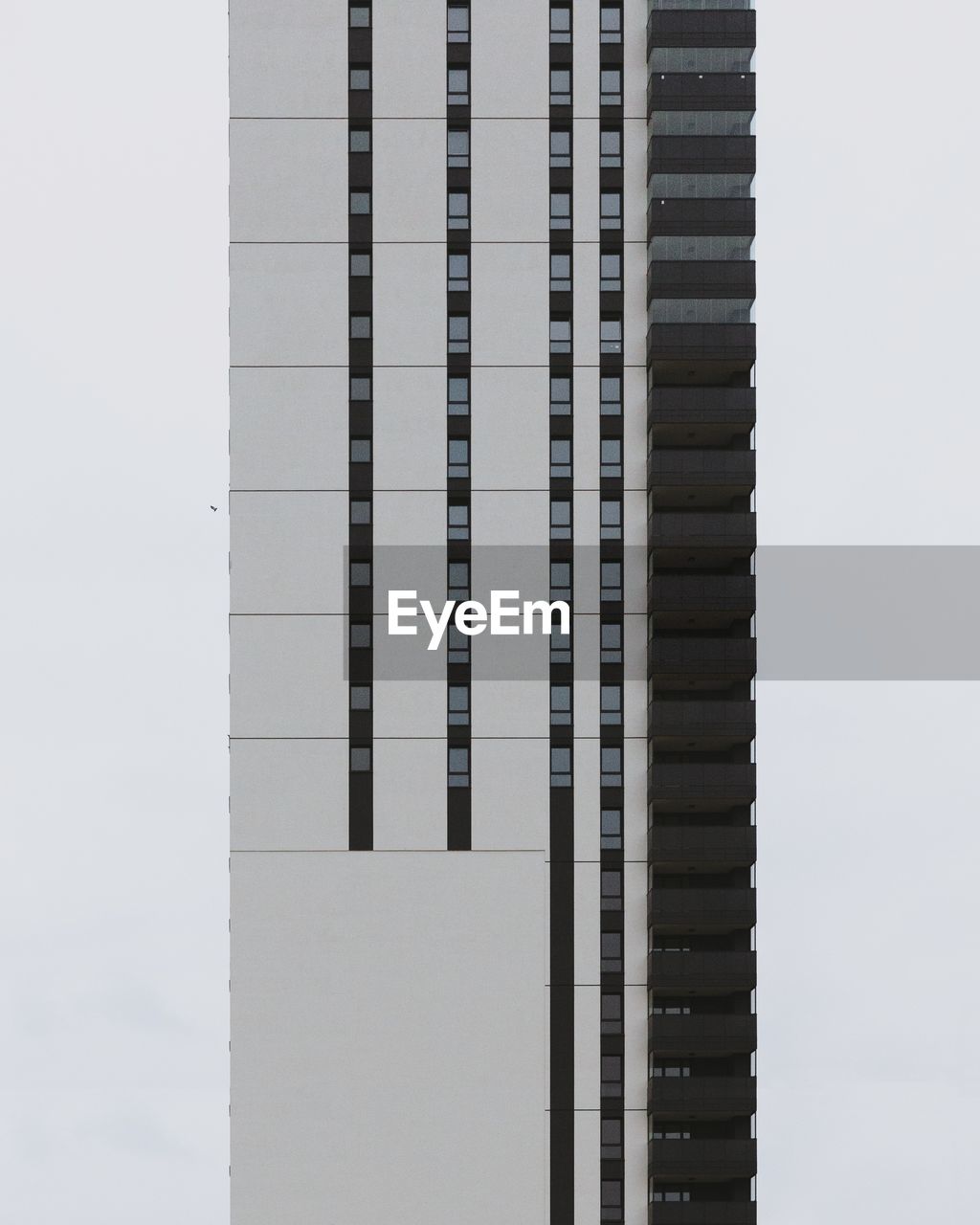 MODERN OFFICE BUILDING