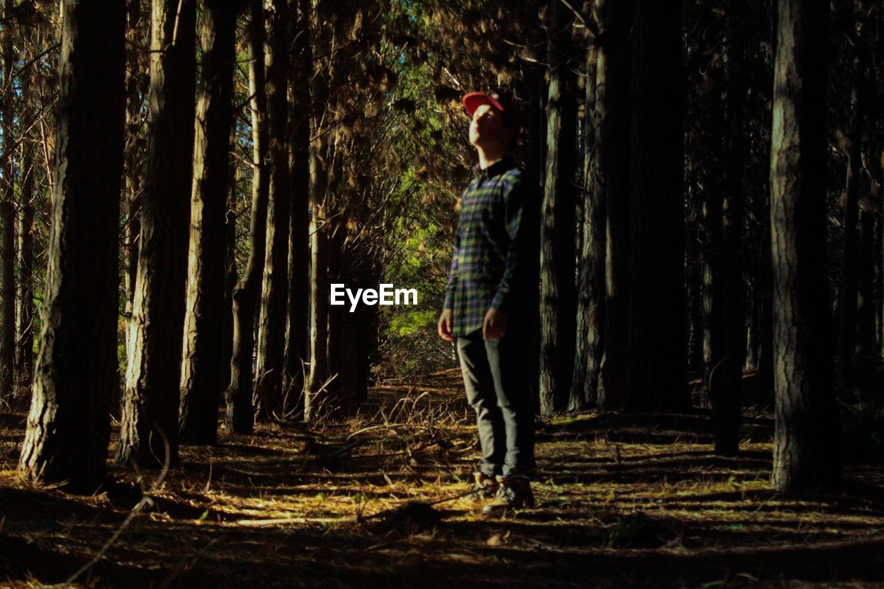Full length of man standing in forest