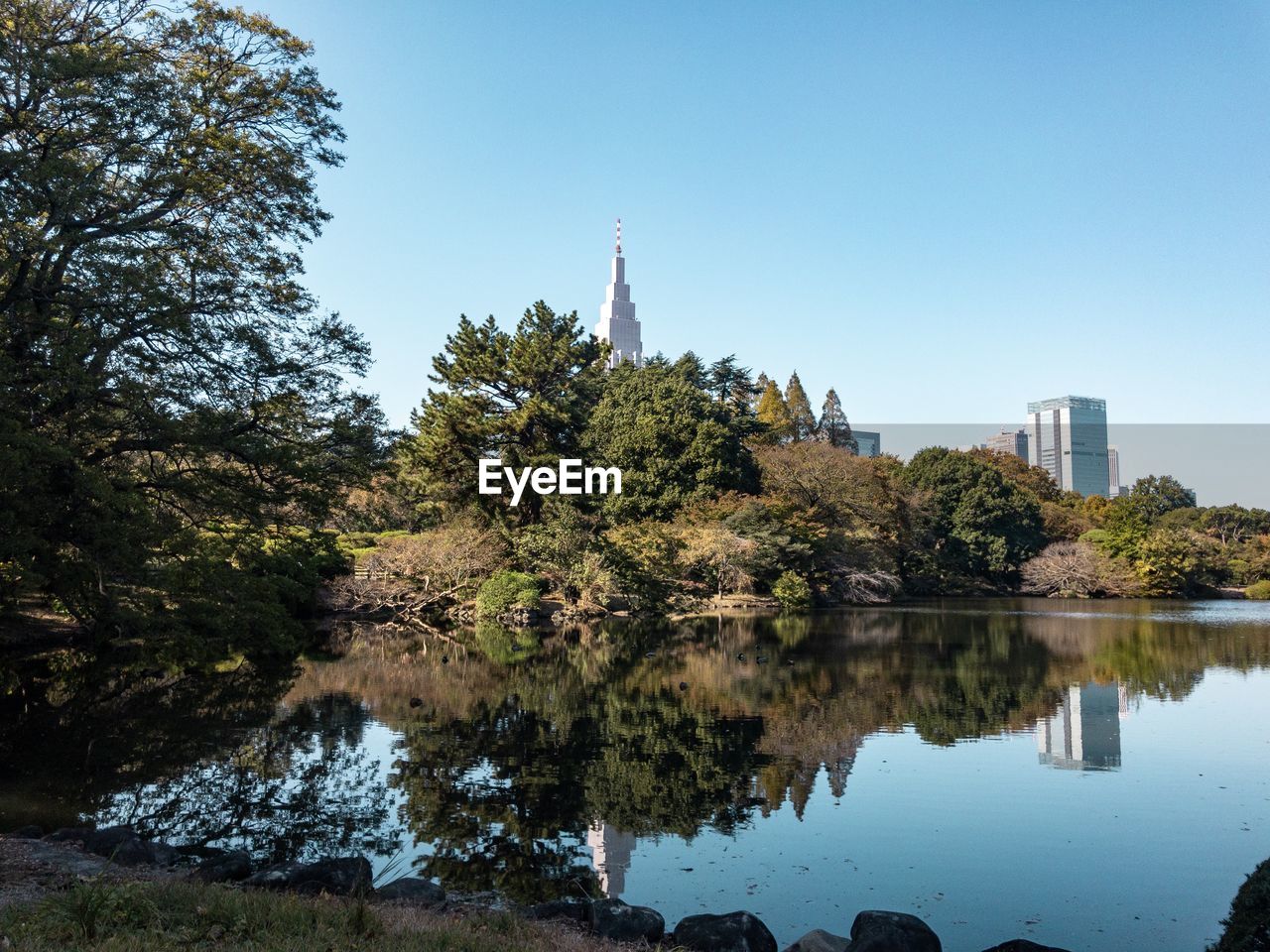 REFLECTION OF TREES AND BUILDINGS ON LAKE