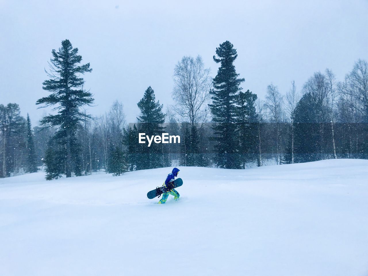 Man with a snowboard in the woods