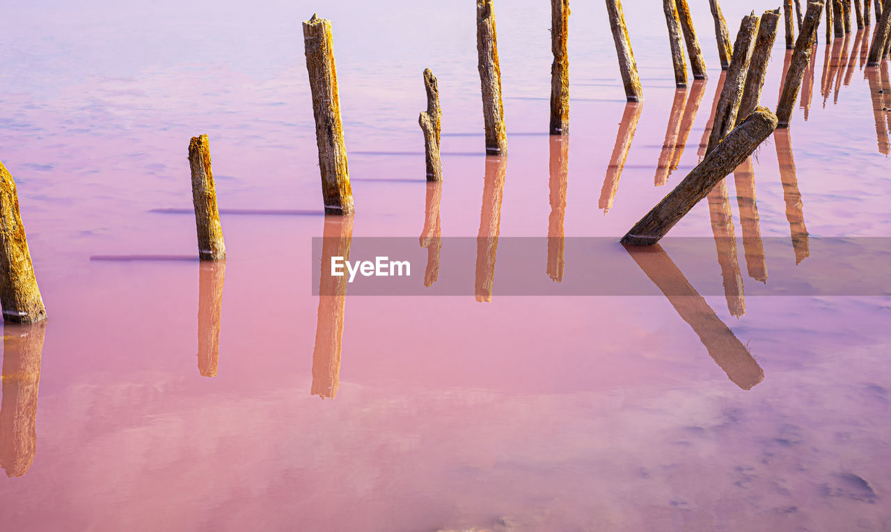 Conceptual photo on a pink lake. wooden piles stick out from the pink water. pink  sky. 