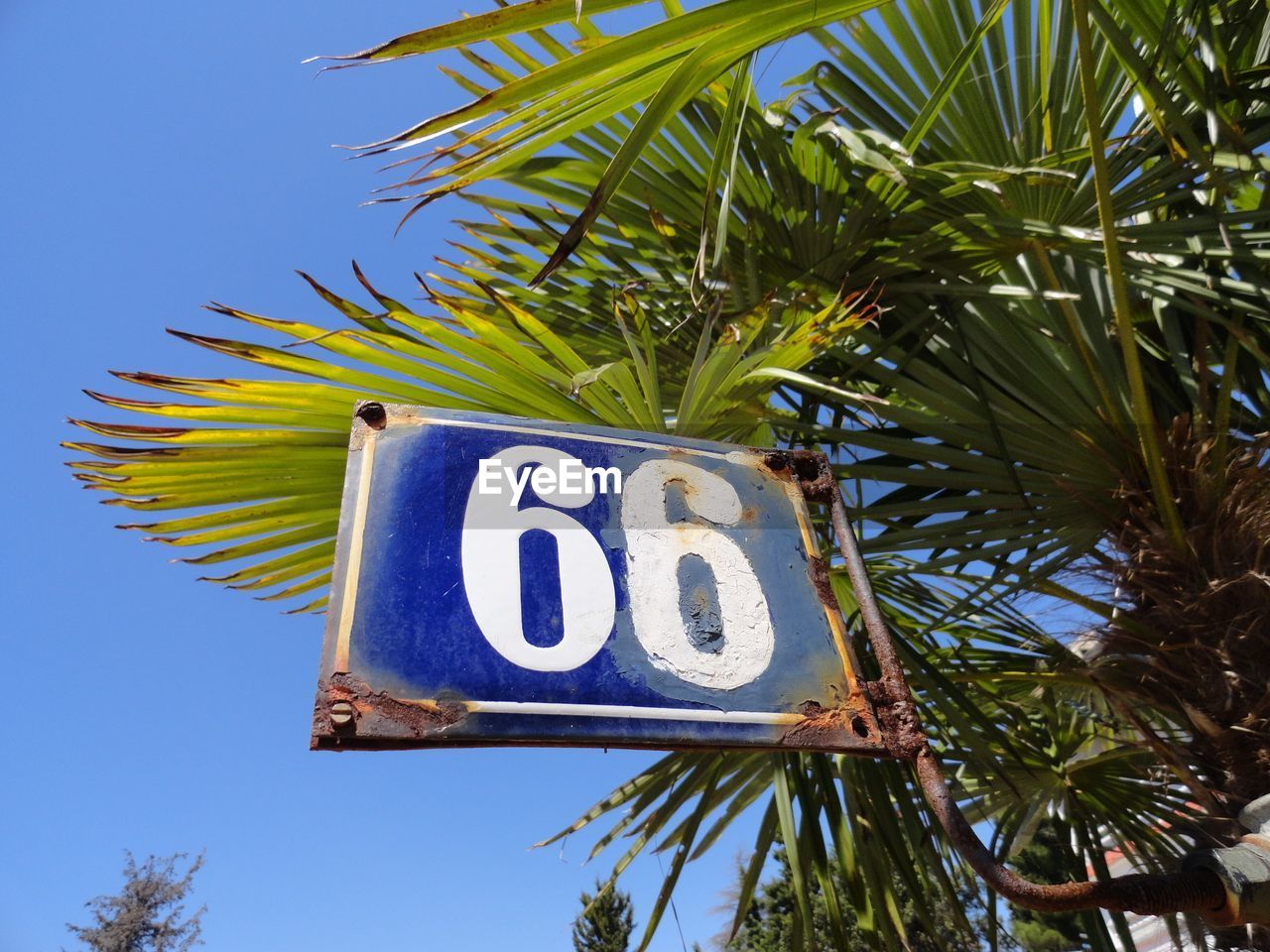 Low angle view of signboard against palm tree and clear blue sky