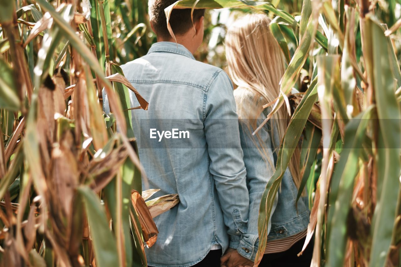 Couple holding hands while standing amidst plants