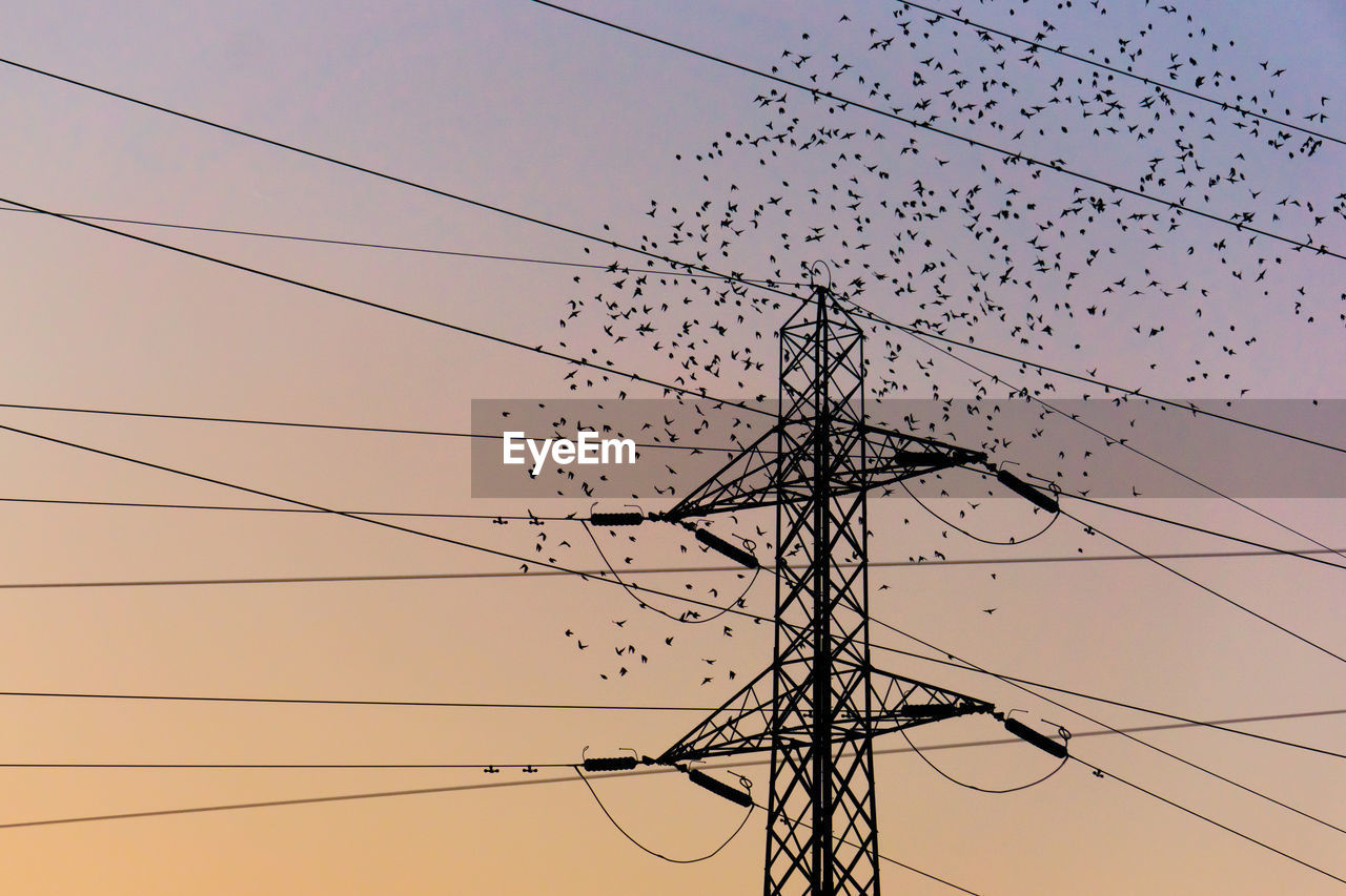 Flock of birds surrounding electricity pylon against blue sky