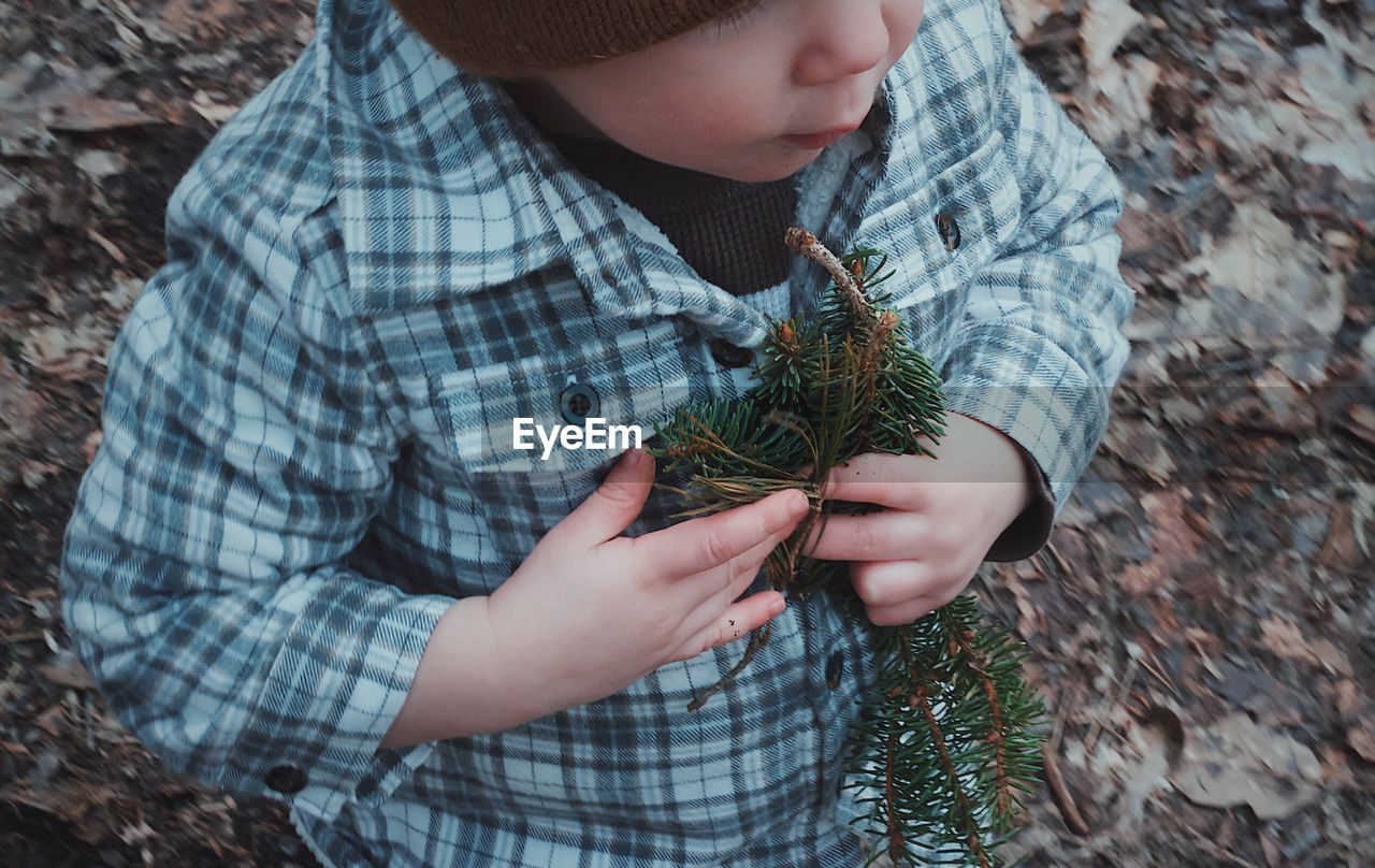 Close-up of boy holding twigs