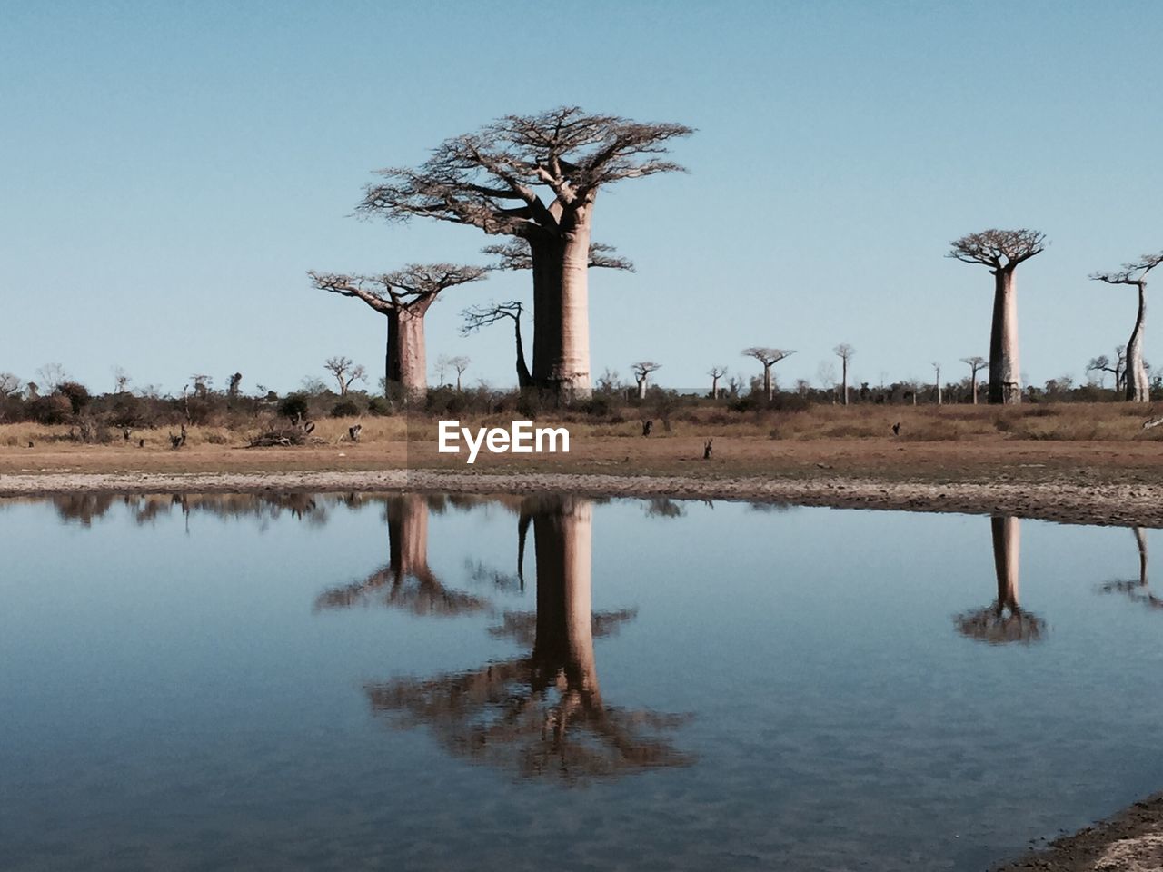 Scenic view of landscape against clear blue sky