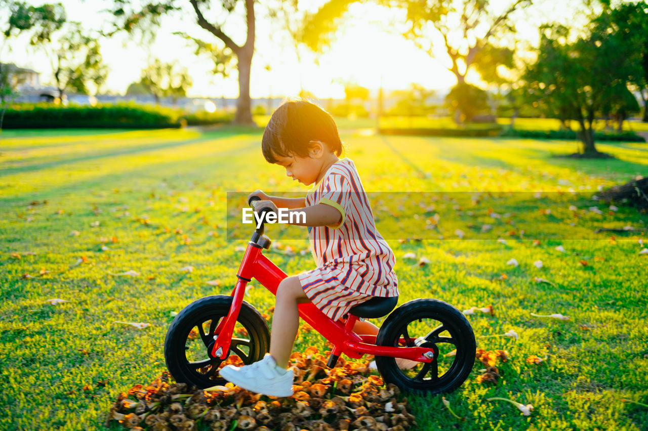 child, childhood, yellow, one person, bicycle, nature, plant, full length, grass, sunlight, transportation, toddler, park, park - man made space, cycling, leisure activity, casual clothing, vehicle, tree, lifestyles, happiness, sports, day, men, cute, lawn, innocence, baby, outdoors, fun, emotion, land vehicle, activity, autumn, riding, summer, enjoyment, wheel, smiling, flower, motion, sitting, mode of transportation, joy, bicycle wheel, land, green, field