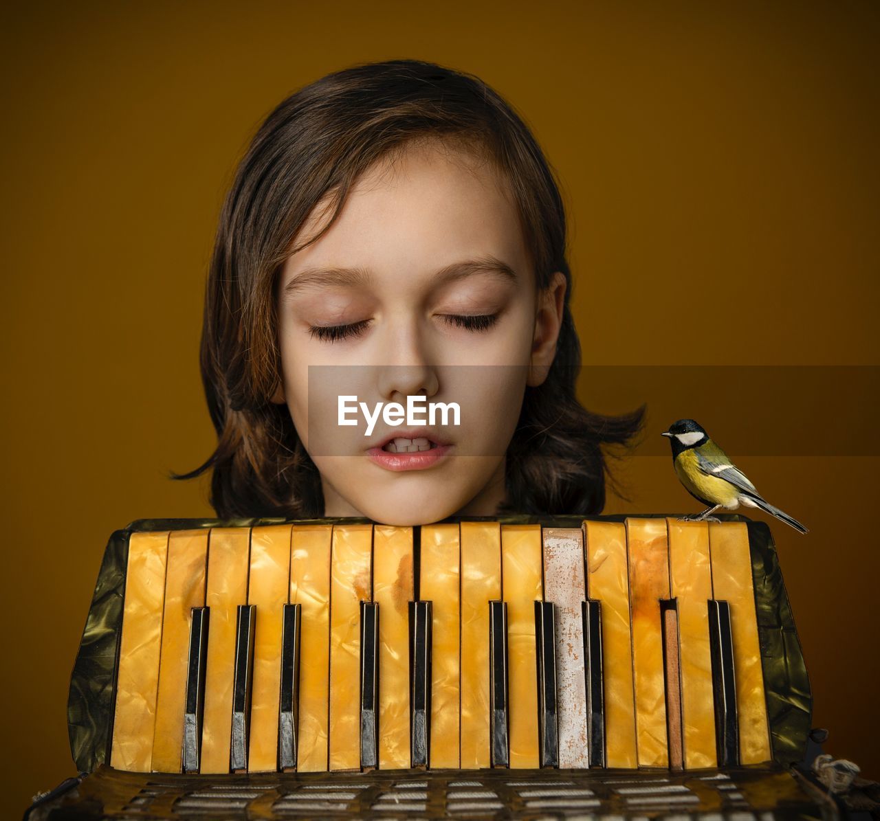 Close-up of a kid near accordion keys with the tit bird