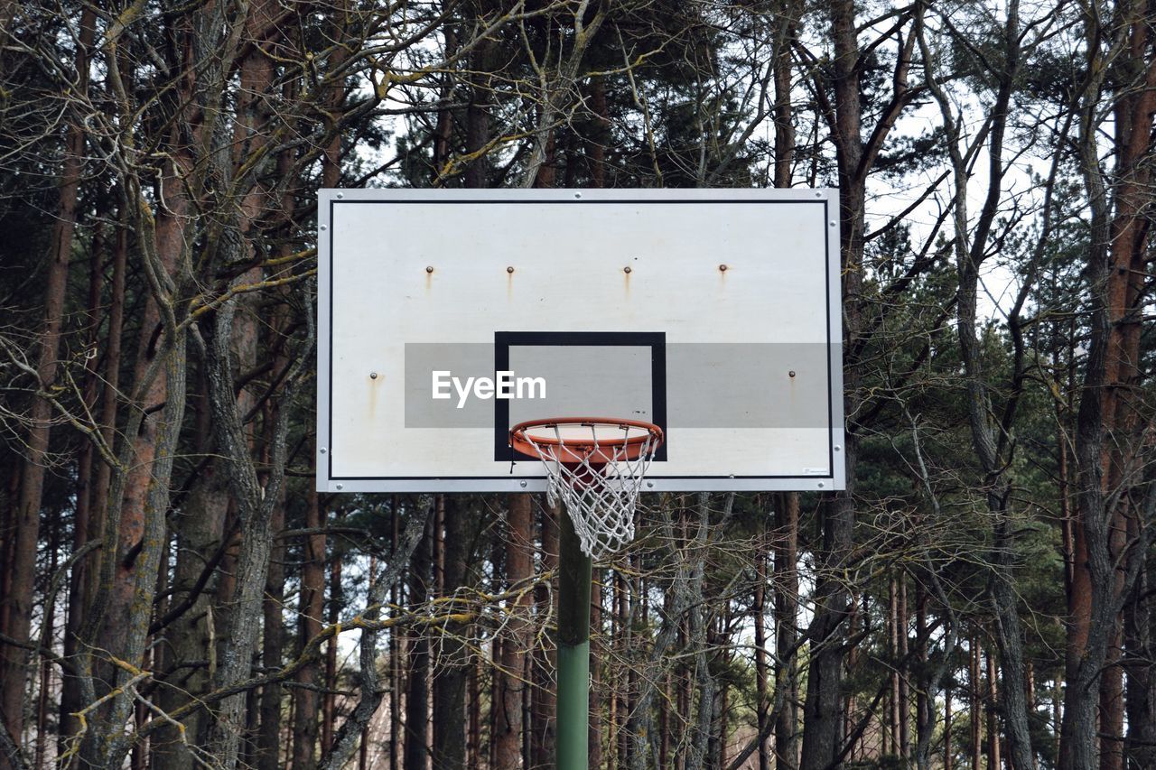 Low angle view of basketball hoop against trees in forest
