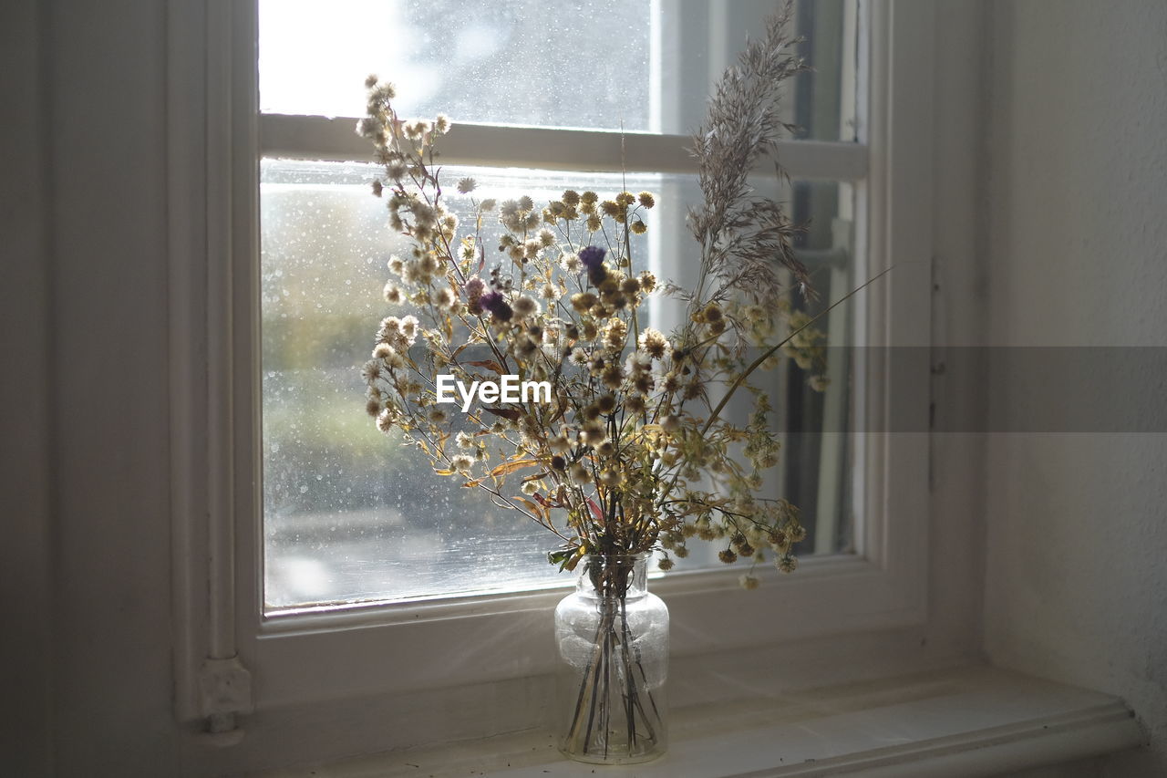 FLOWERS IN VASE ON WINDOW SILL AT HOME