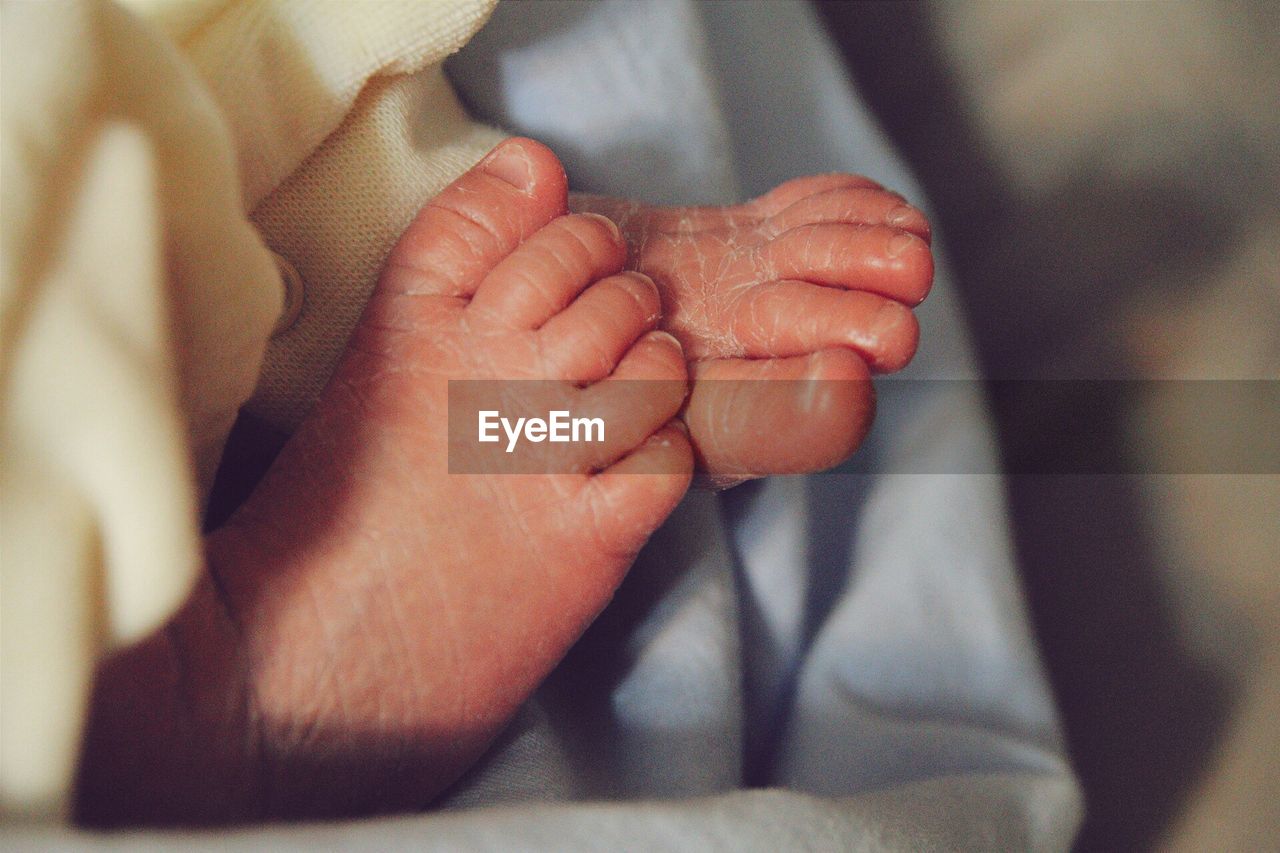 Close-up of newborn baby feet