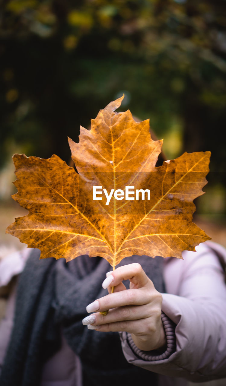 Woman with face covered by maple leaf during autumn