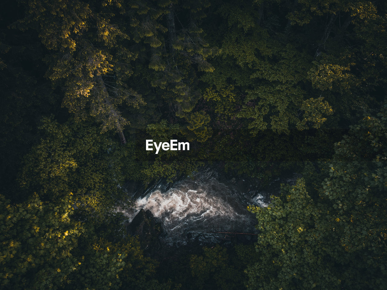 Aerial view of waterfall in the forest. top view