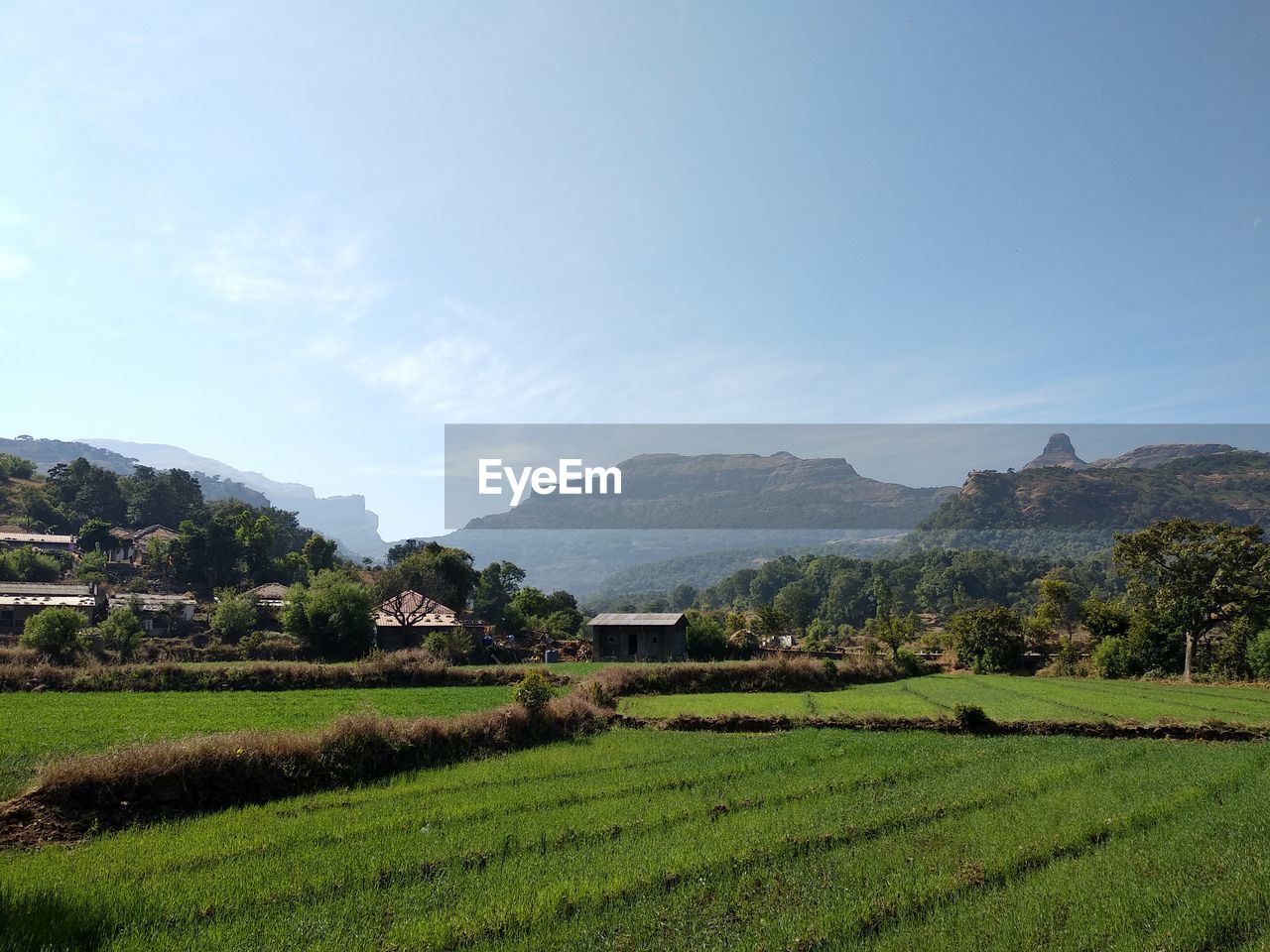 SCENIC VIEW OF AGRICULTURAL FIELD BY MOUNTAINS AGAINST SKY