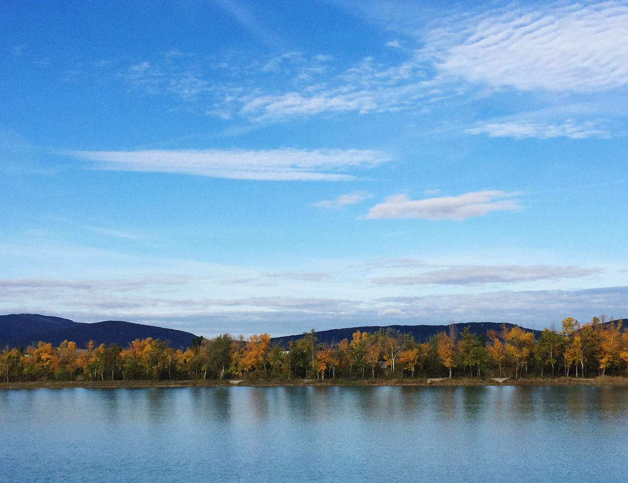 SCENIC VIEW OF LAKE AND TREES AGAINST BLUE SKY