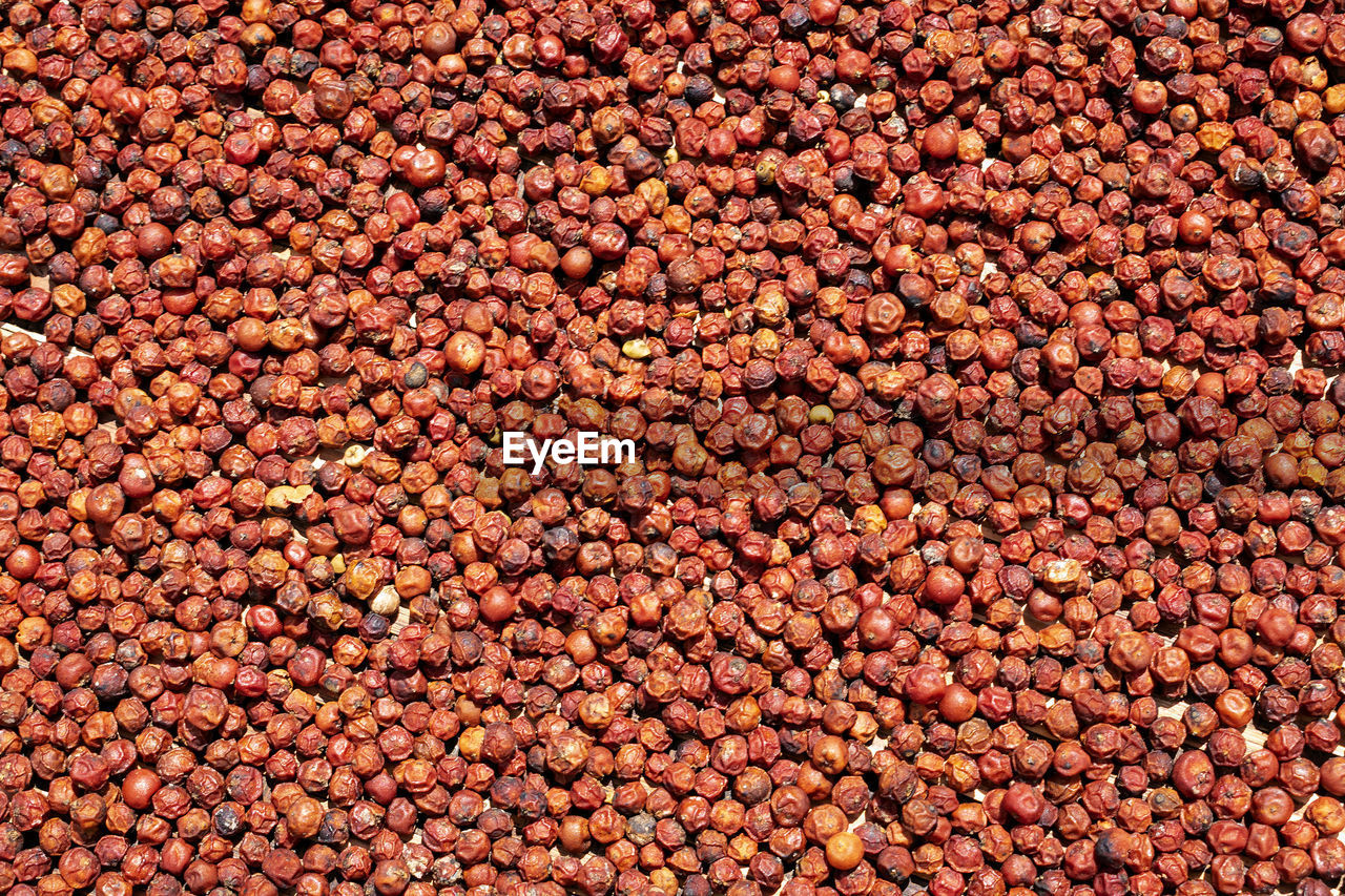 full frame, backgrounds, abundance, food and drink, large group of objects, food, crop, produce, vegetable, no people, healthy eating, freshness, soil, textured, wellbeing, fruit, day, red, brown, high angle view, close-up, still life, agriculture, nature, plant, pattern, outdoors