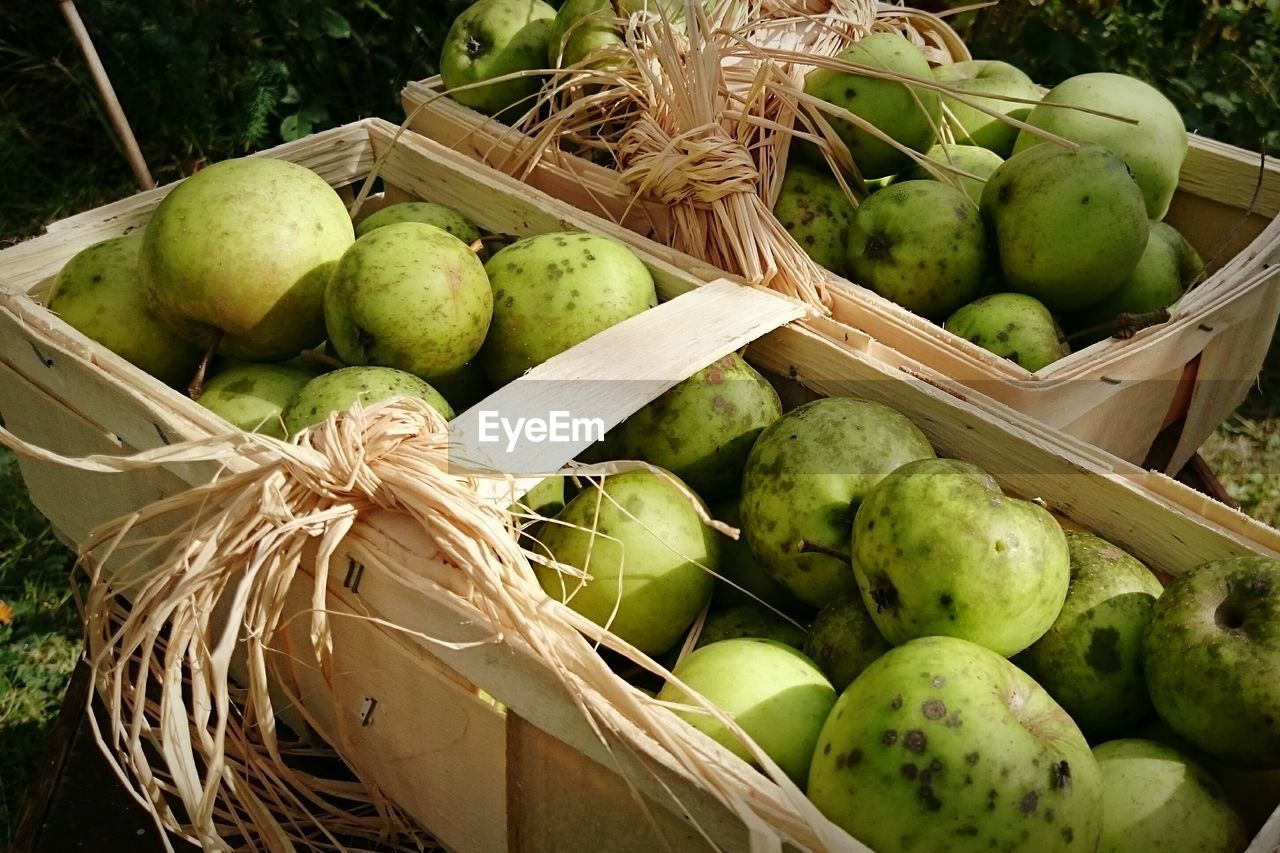 Close-up of fruits in box outdoors