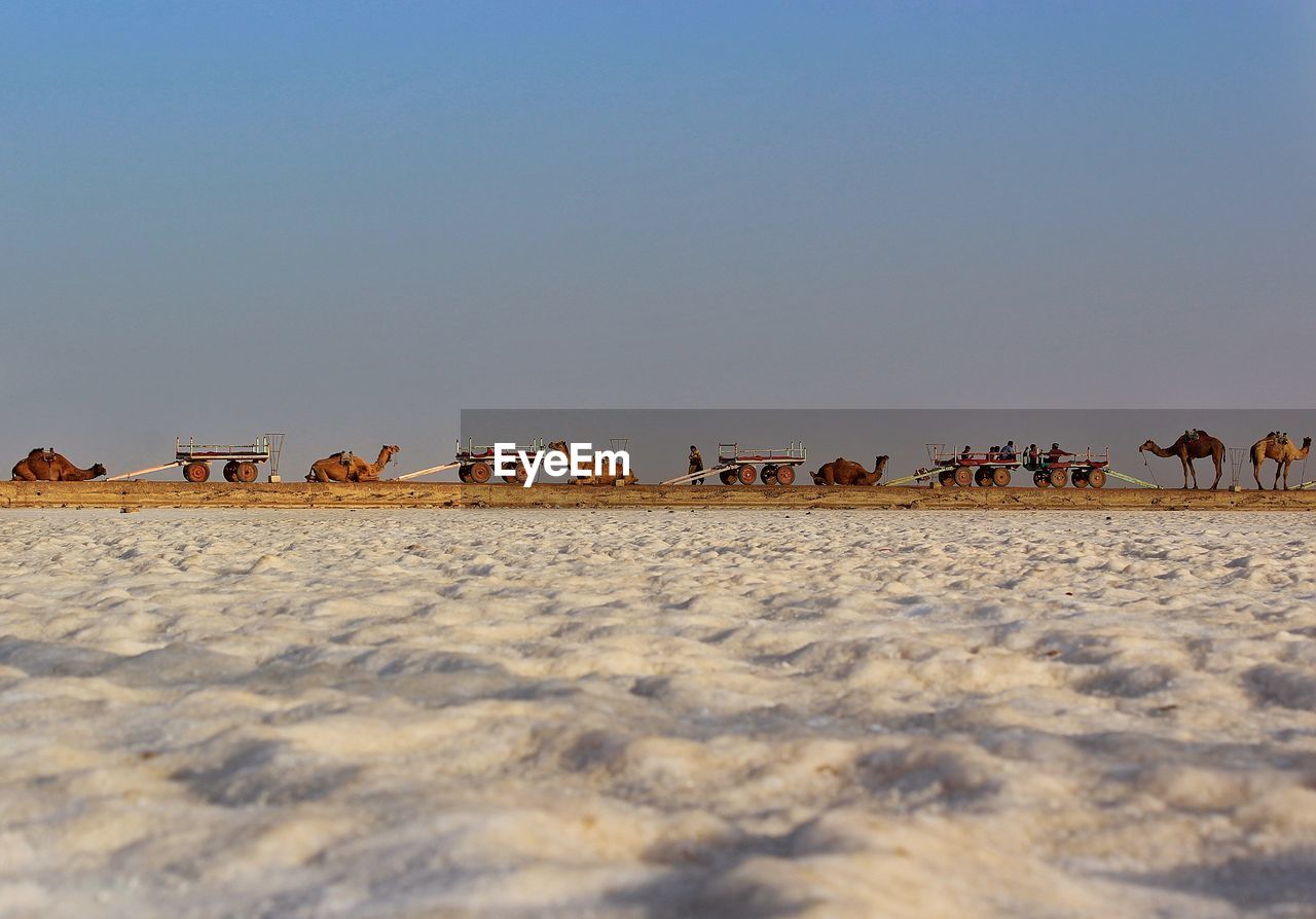 The salt of white desert in kutch region of gujarat state in india