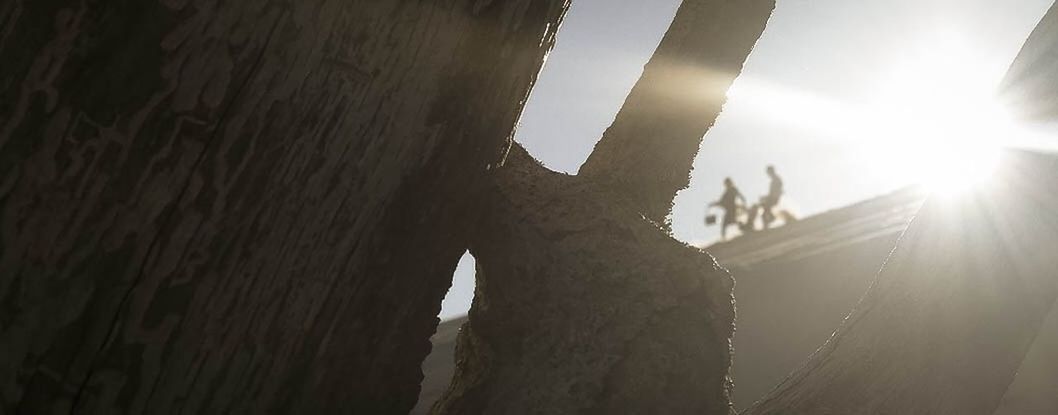 SUN SHINING THROUGH TREES