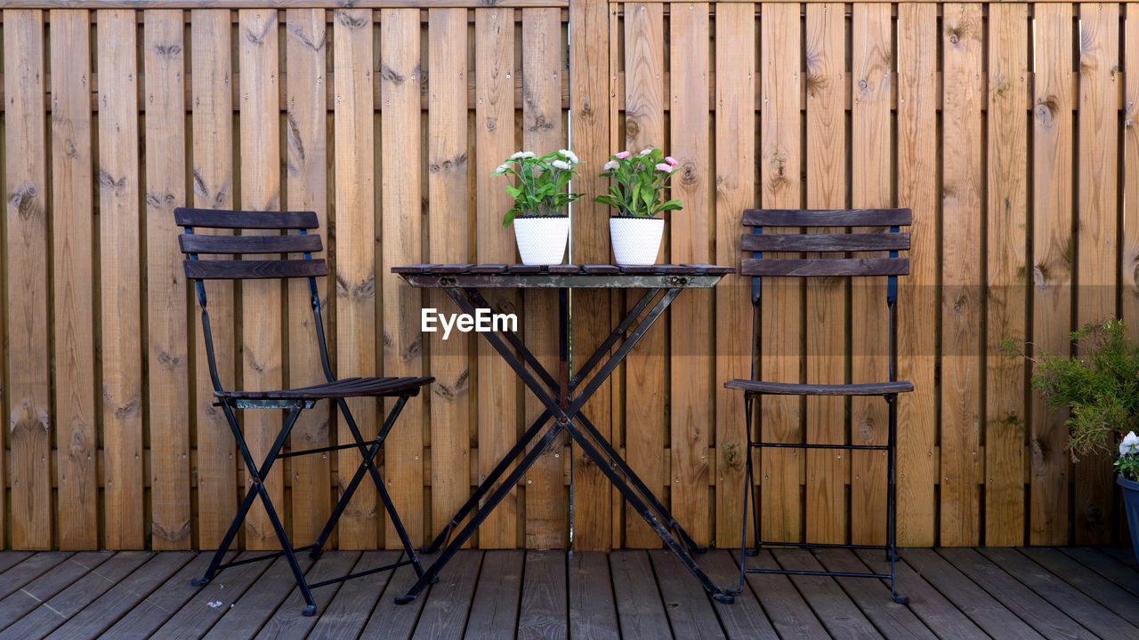 Potted plant on table