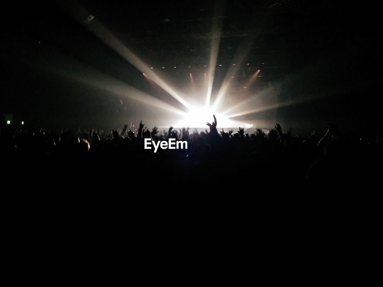 Crowd enjoying at music concert