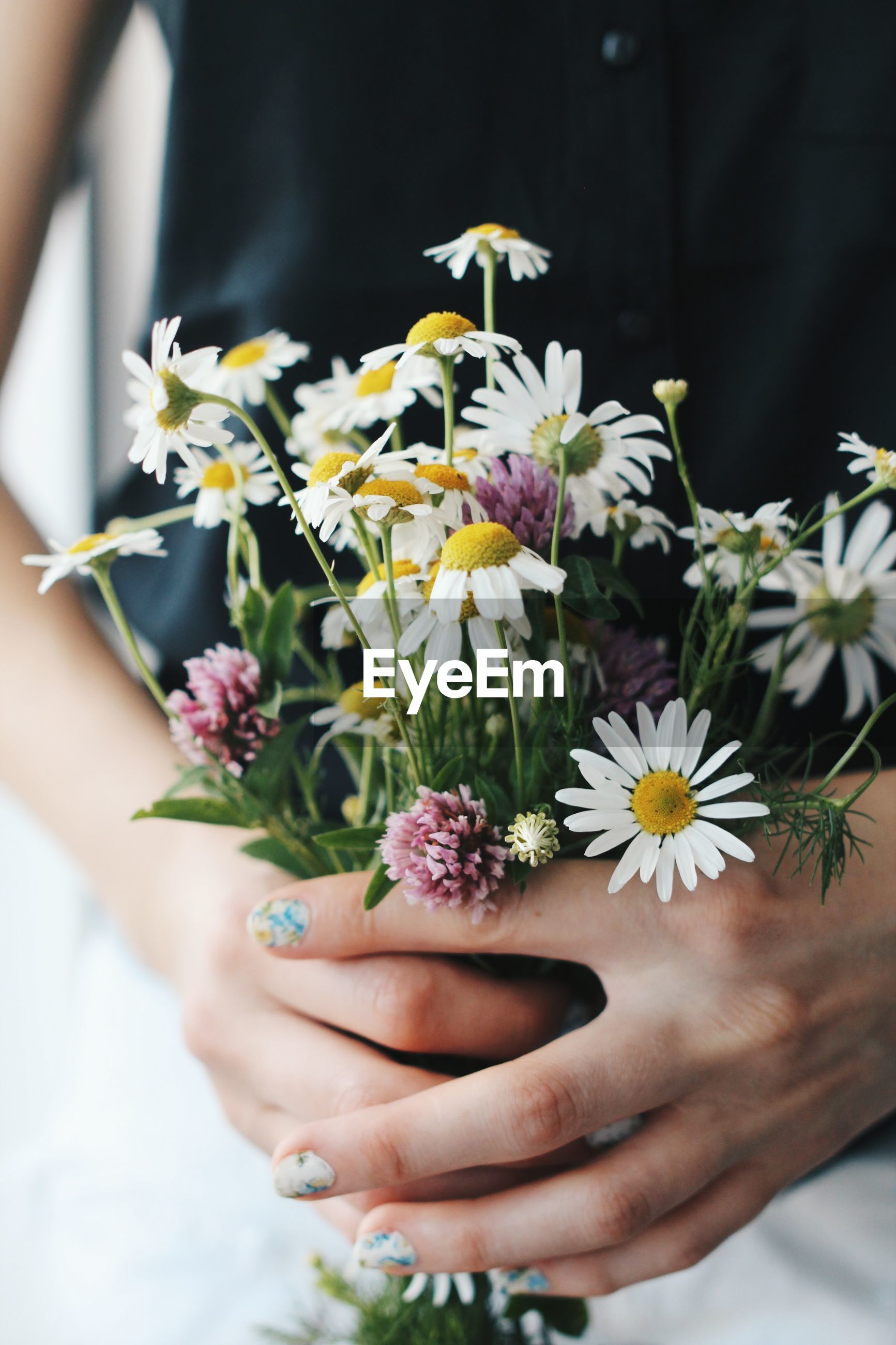 Close-up of hand holding bunch of flowers | ID: 89031279