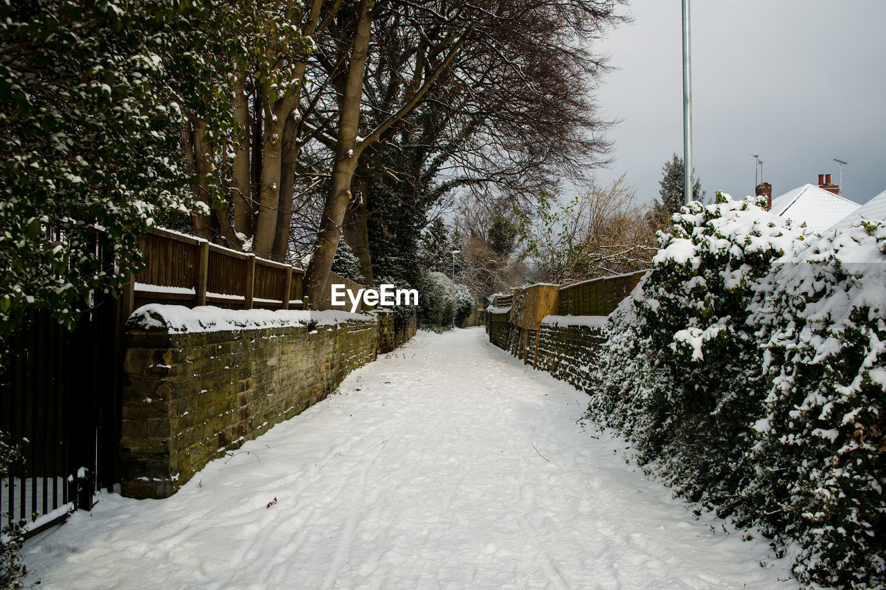 SNOW COVERED FOOTPATH AMIDST TREES AND BUILDING