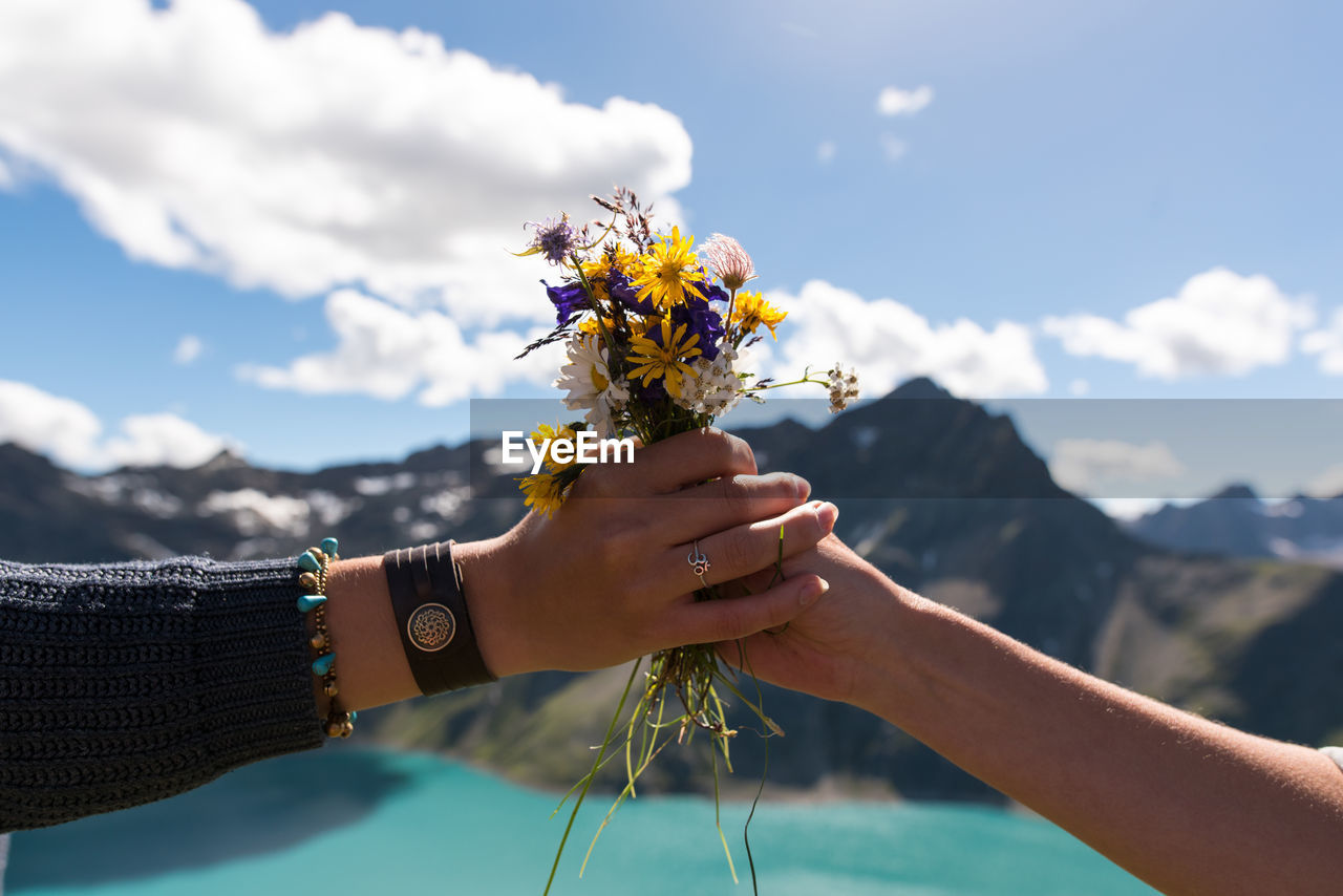 Close-up of hand holding flower against clear sky