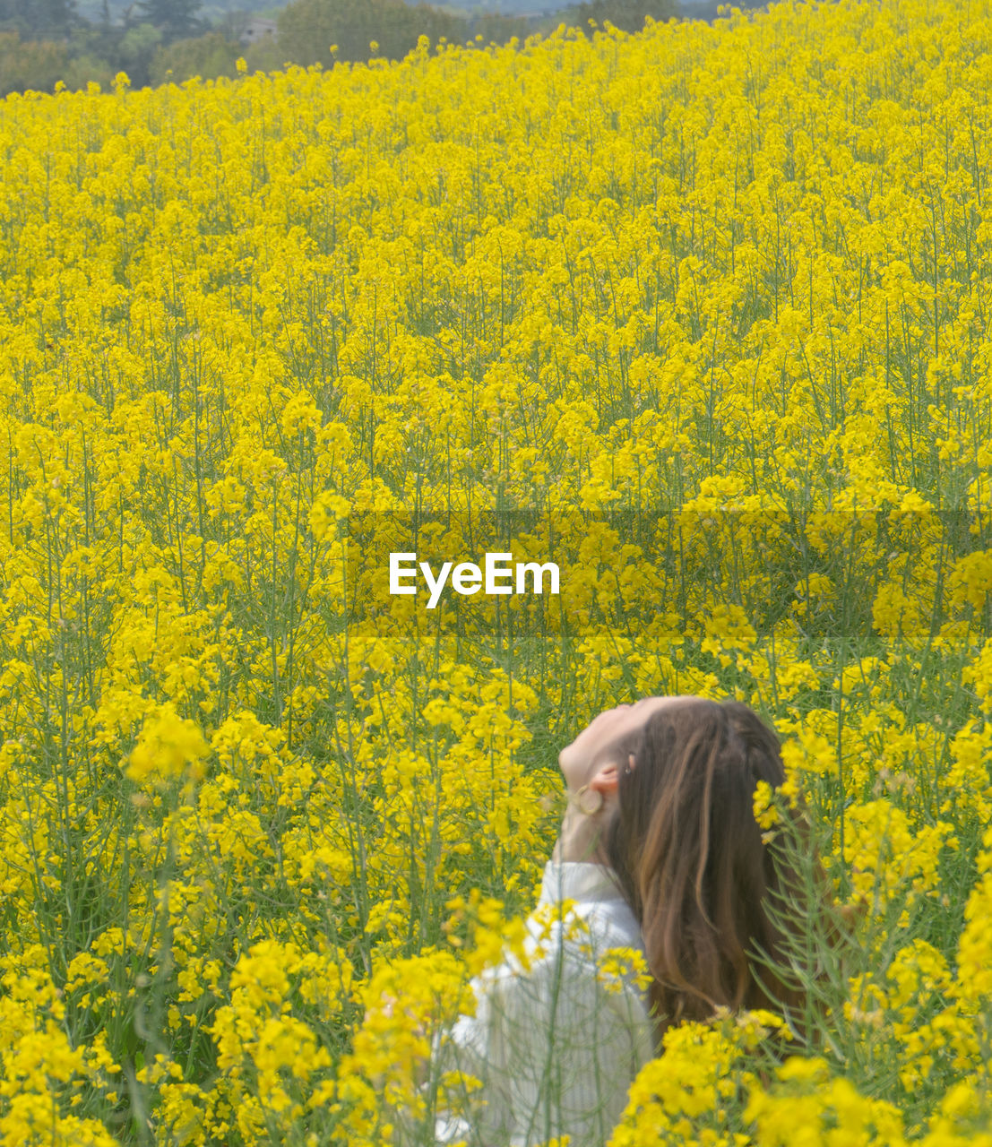 yellow, produce, rapeseed, flower, canola, vegetable, flowering plant, one person, field, plant, oilseed rape, beauty in nature, food, land, growth, women, landscape, brassica rapa, nature, mustard, rural scene, freshness, adult, agriculture, environment, day, tranquility, fragility, headshot, hairstyle, young adult, long hair, meadow, leisure activity, tranquil scene, farm, rear view, crop, abundance, outdoors, scenics - nature, idyllic, portrait, looking, springtime, lifestyles, casual clothing, standing, female, blossom, prairie
