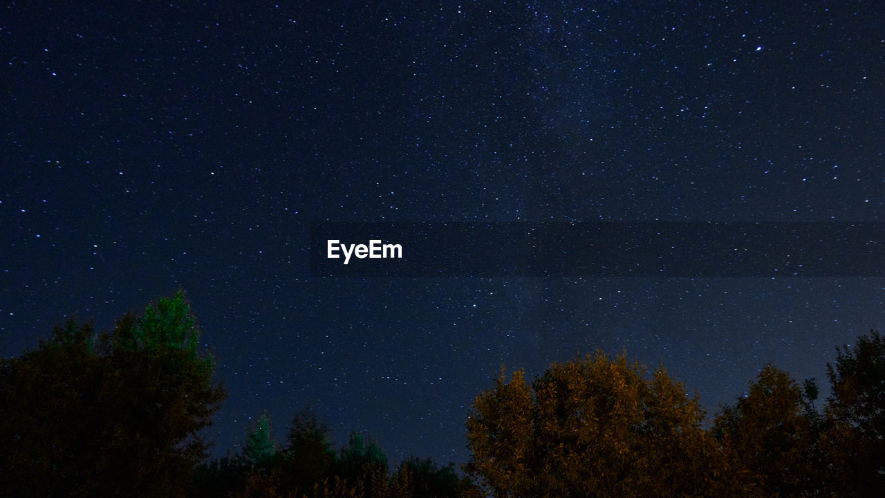 Low angle view of trees against sky at night