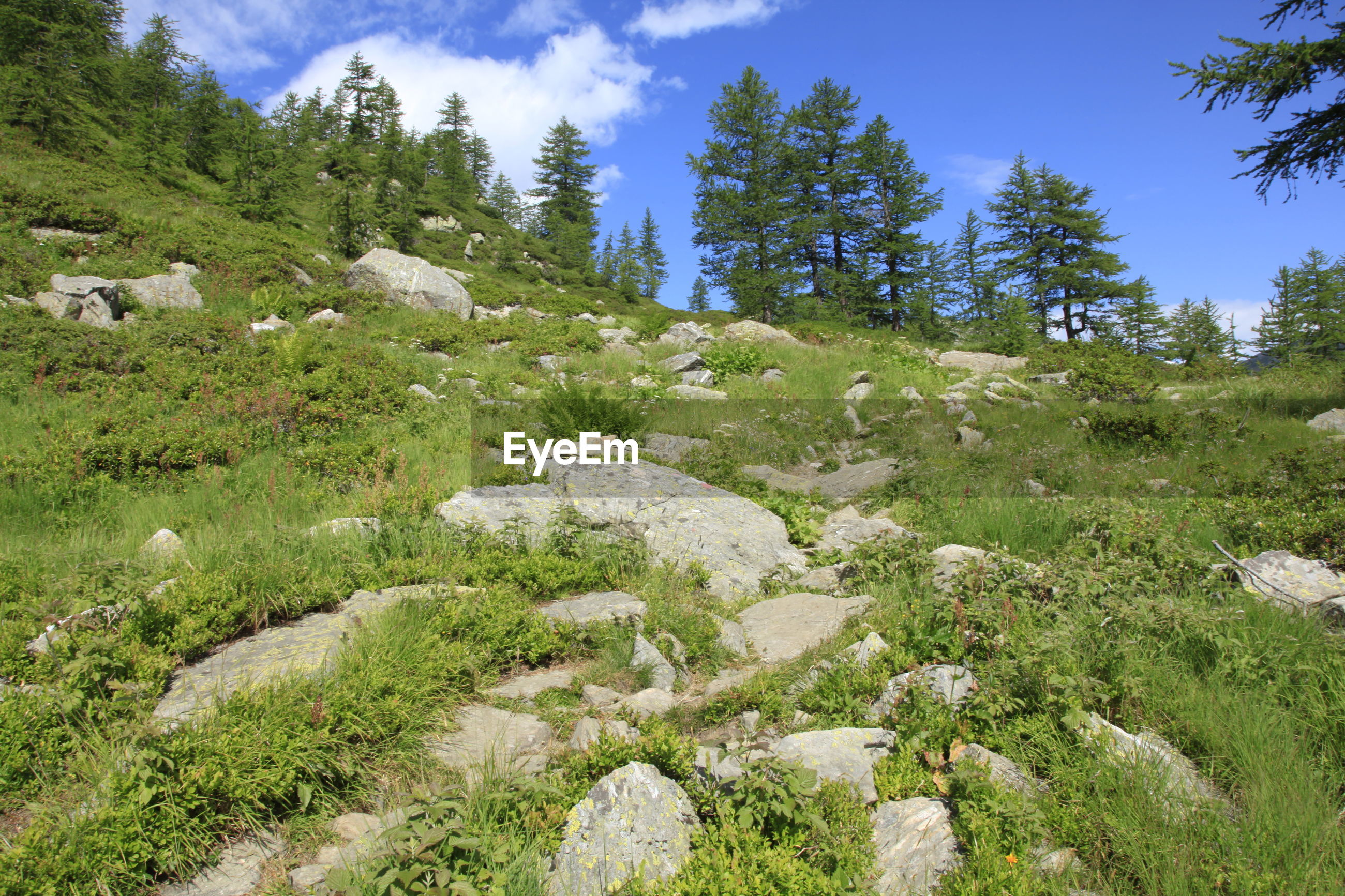 View of rocks on landscape | ID: 136963935