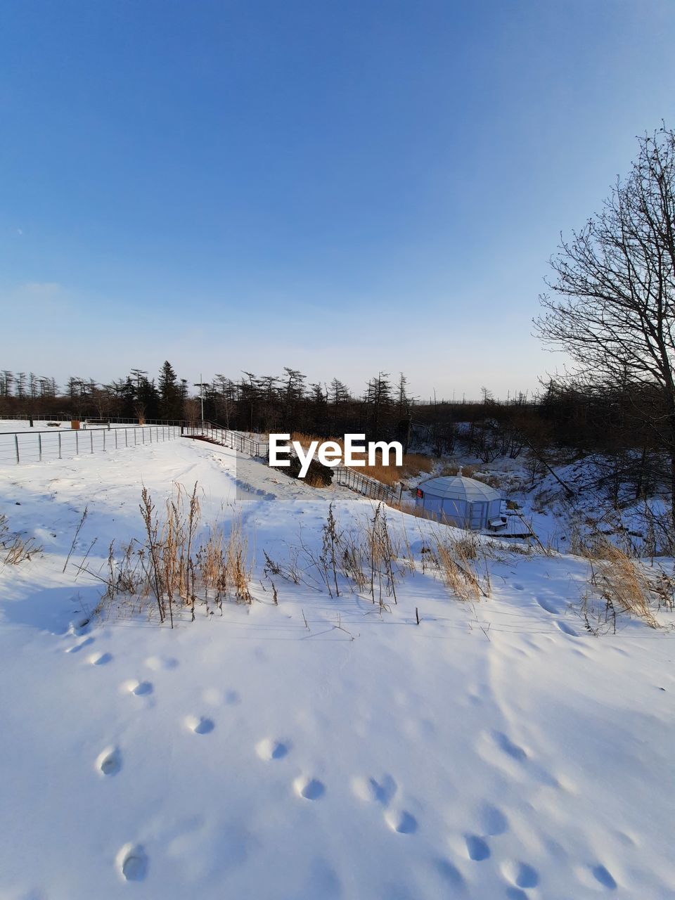 SCENIC VIEW OF SNOW COVERED FIELD