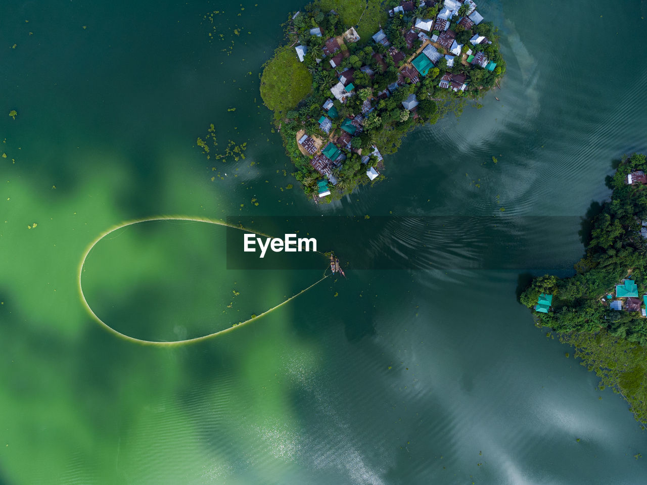 HIGH ANGLE VIEW OF PLANT FLOATING ON WATER
