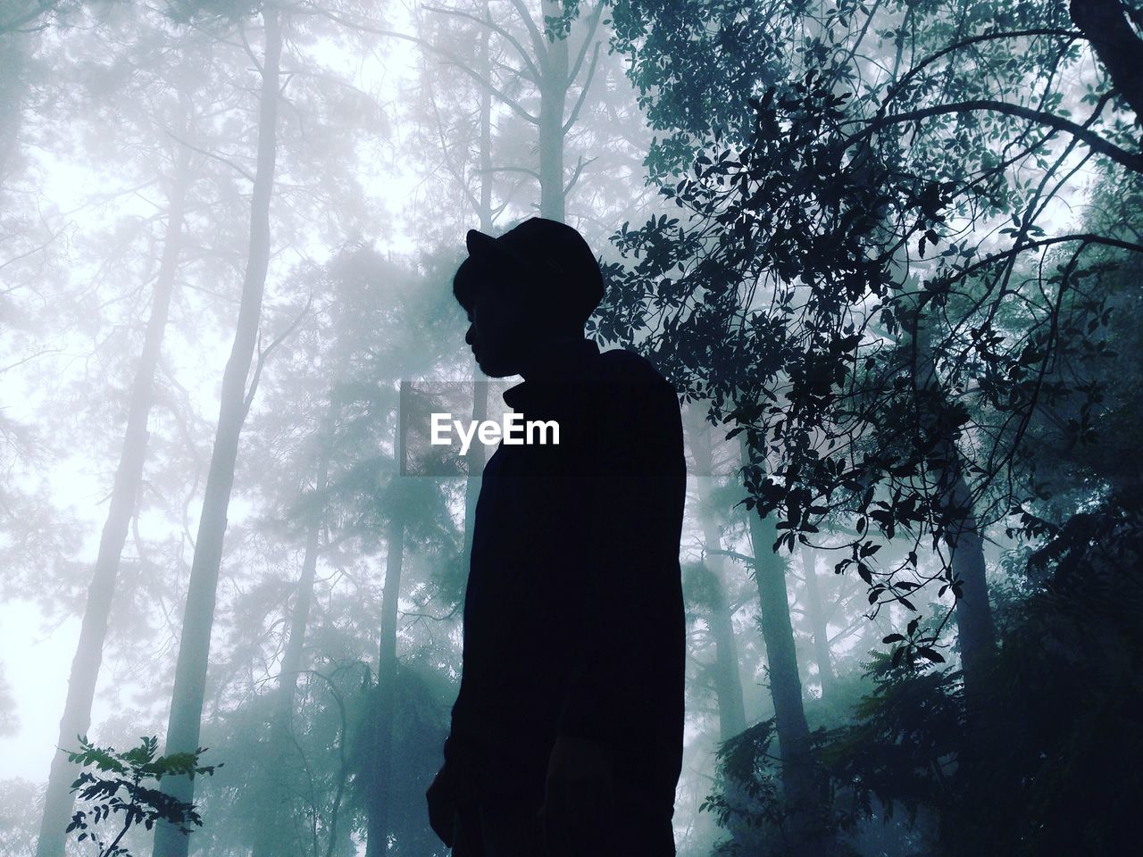 Low angle view of woman standing against trees at forest