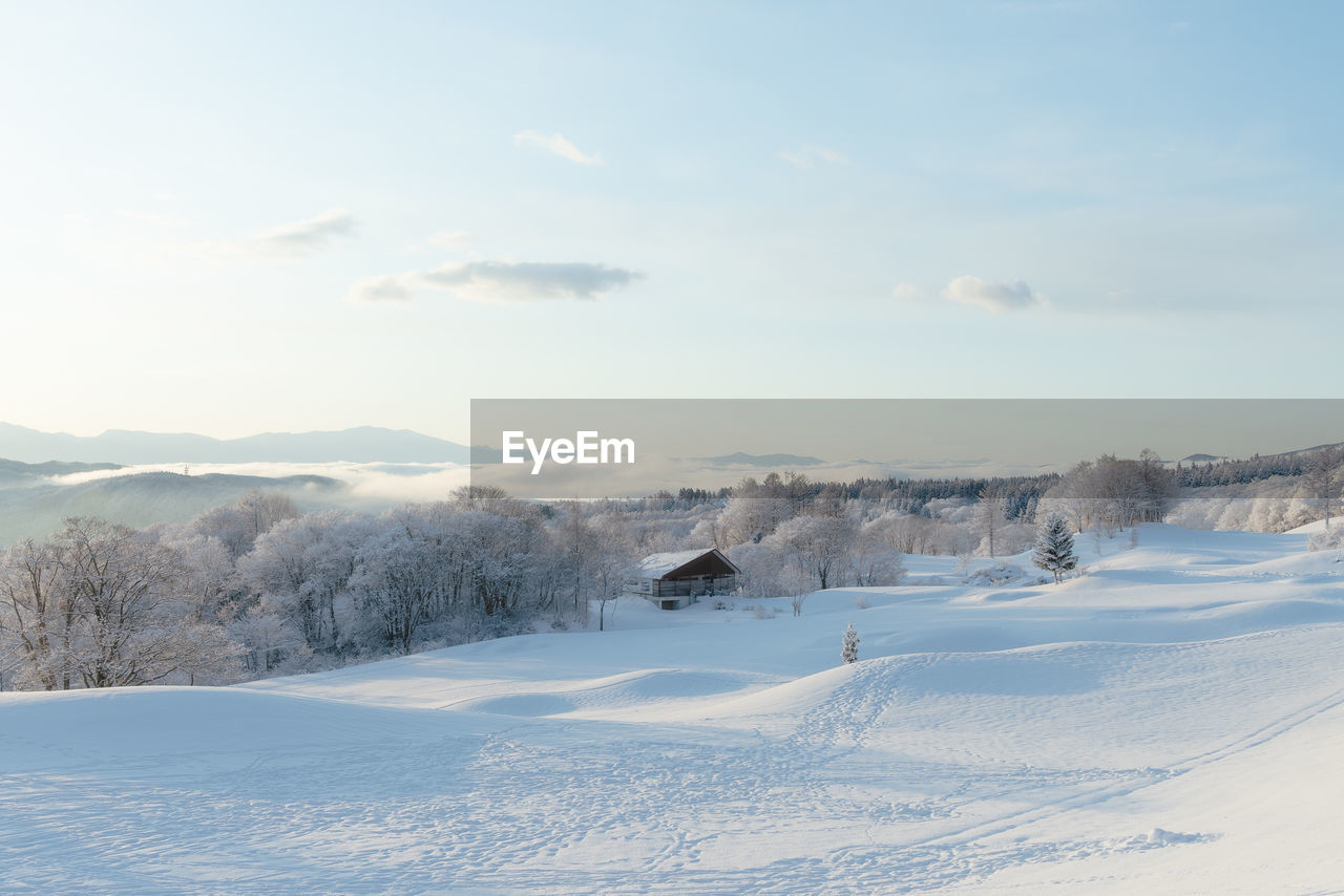 PANORAMIC VIEW OF SNOW COVERED LANDSCAPE AGAINST SKY