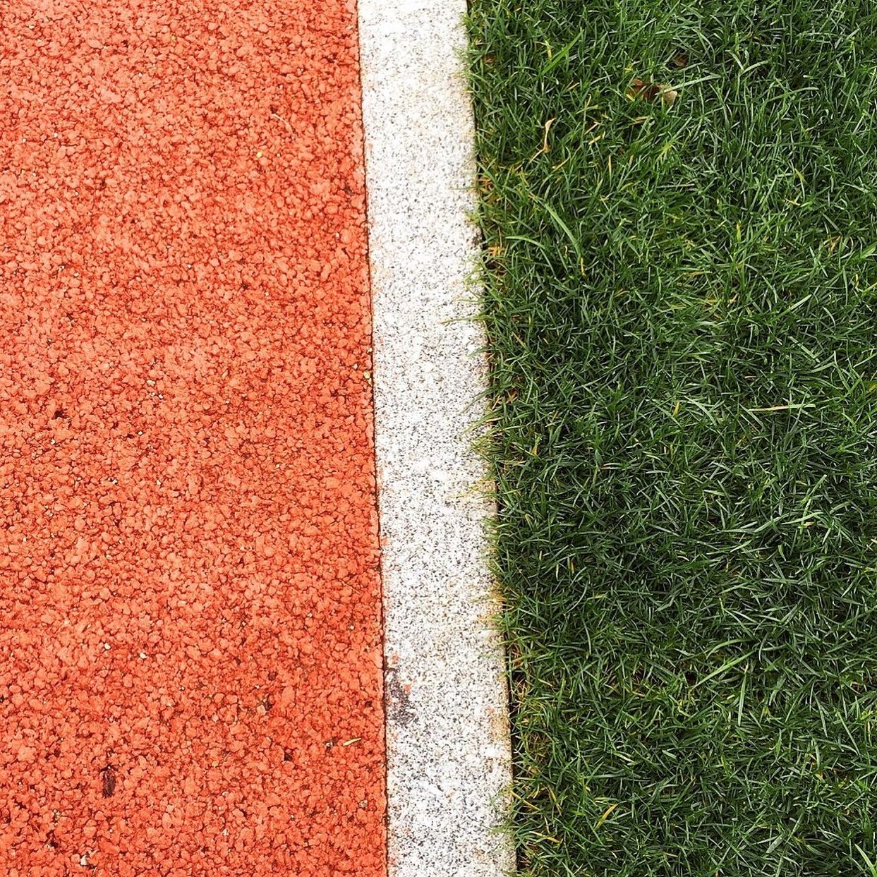 Detail shot of grass and ground