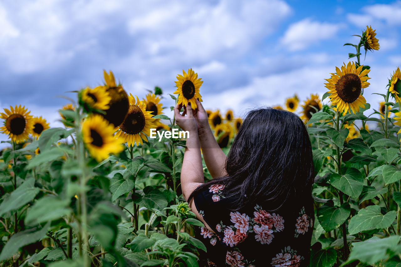 LOW ANGLE VIEW OF WOMAN ON SUNFLOWER
