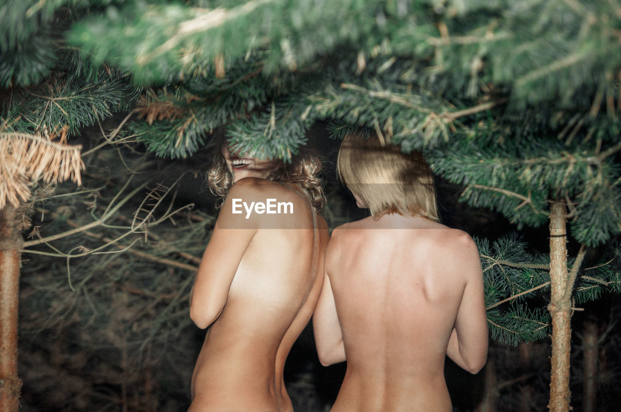 Shirtless young women standing against pine trees