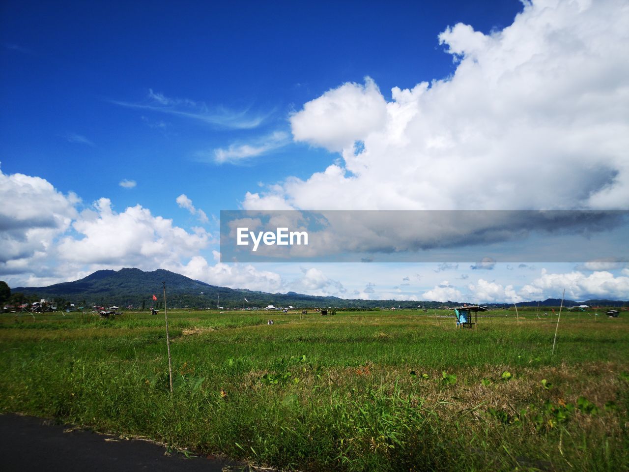 SCENIC VIEW OF FIELD AGAINST BLUE SKY