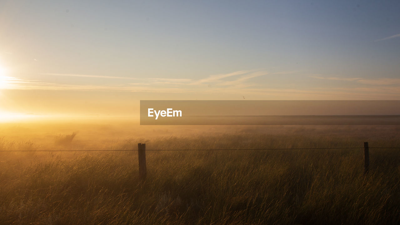 horizon, morning, sky, sunrise, dawn, landscape, tranquility, field, beauty in nature, tranquil scene, scenics - nature, nature, fence, cloud, environment, land, sun, grass, plant, mist, sunlight, plain, natural environment, idyllic, non-urban scene, rural scene, no people, prairie, outdoors, silhouette, hill, fog, agriculture, wire, horizon over land, twilight, orange color