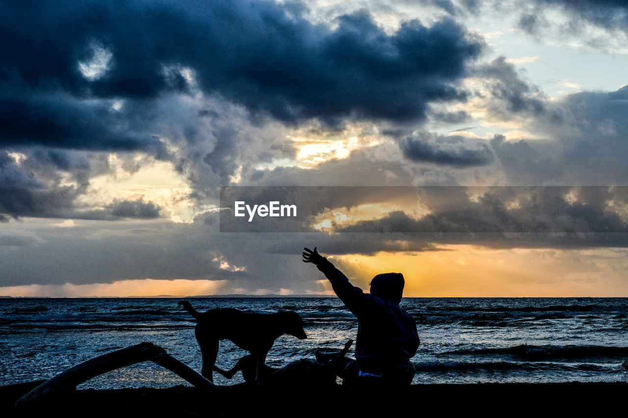 Silhouette of person with pets against storm cloud by beach