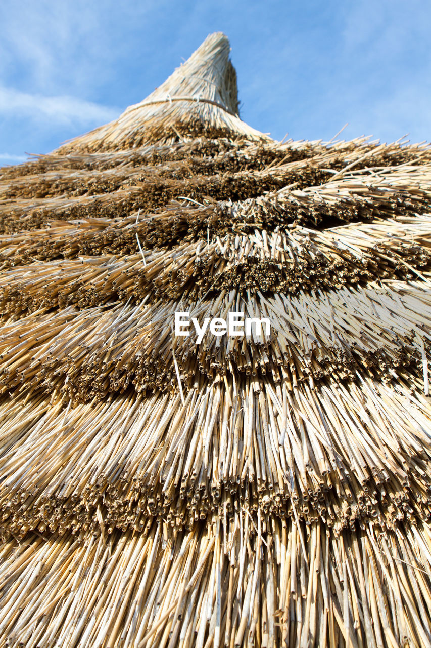 LOW ANGLE VIEW OF THATCHED ROOF