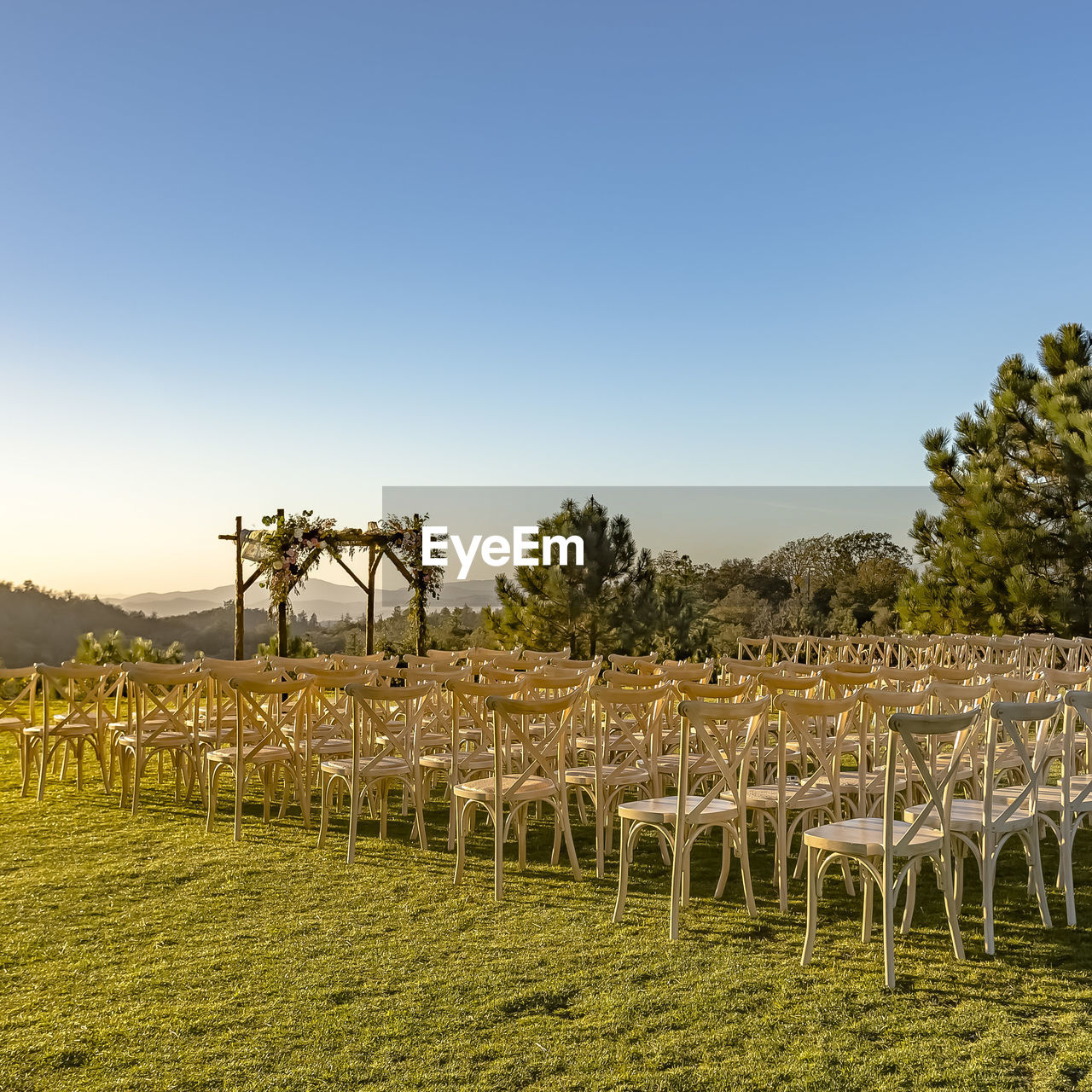 VIEW OF SHEEP ON FIELD