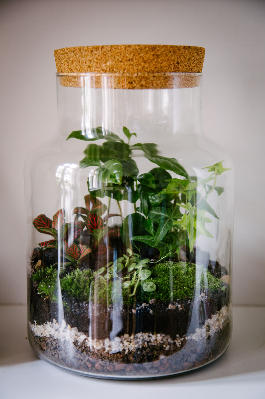 CLOSE-UP OF GLASS JAR ON TABLE AGAINST PLANTS