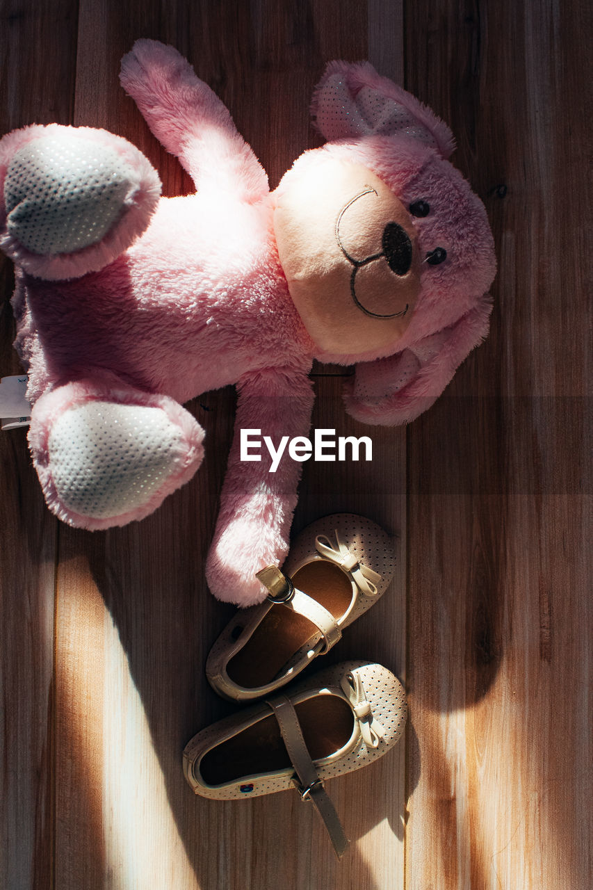 HIGH ANGLE VIEW OF STUFFED TOY ON WOOD