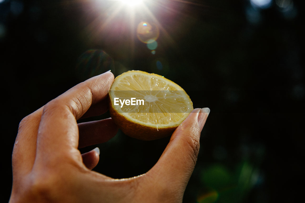 Cropped hand of person holding lemon slice